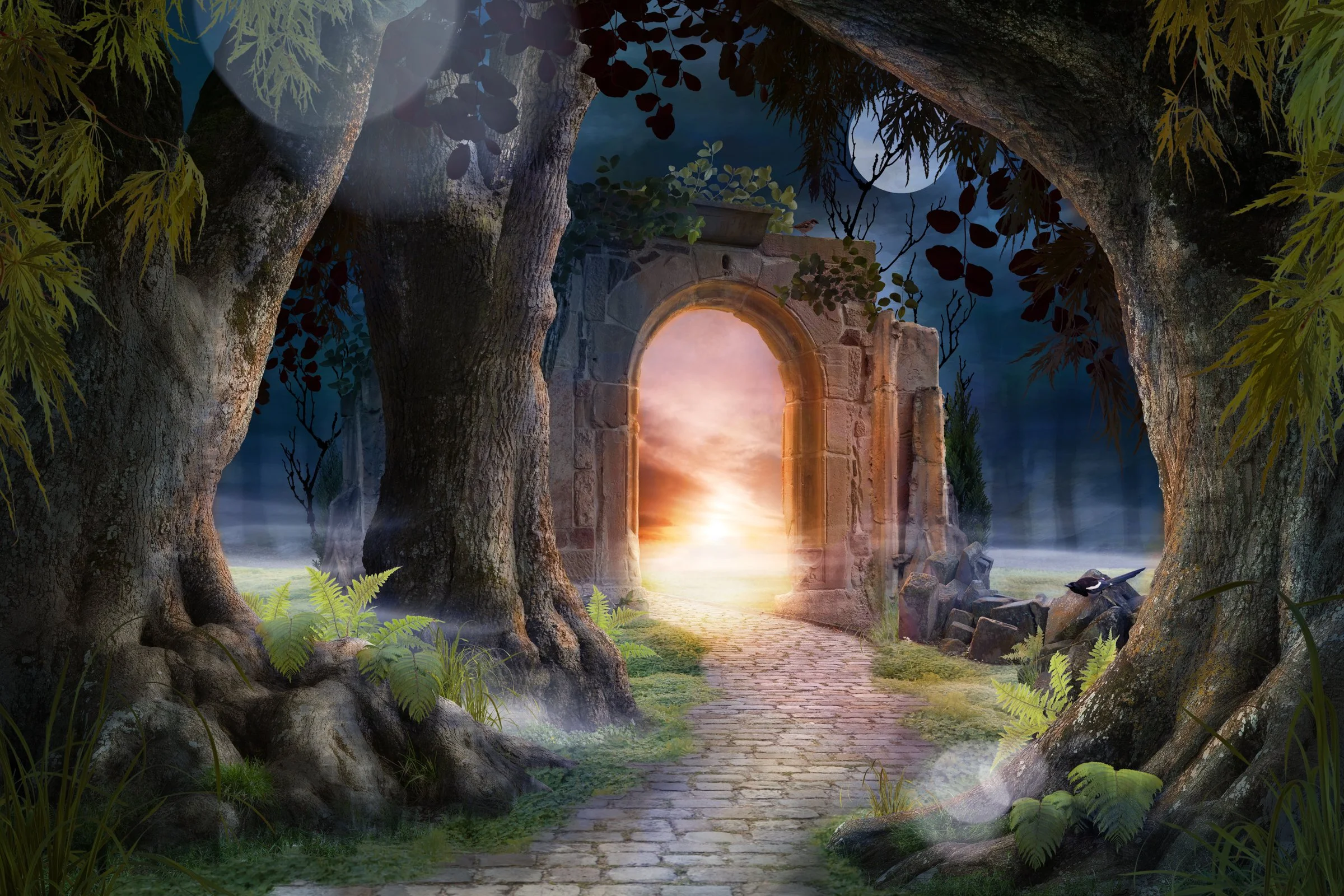 Entering The Kingdom