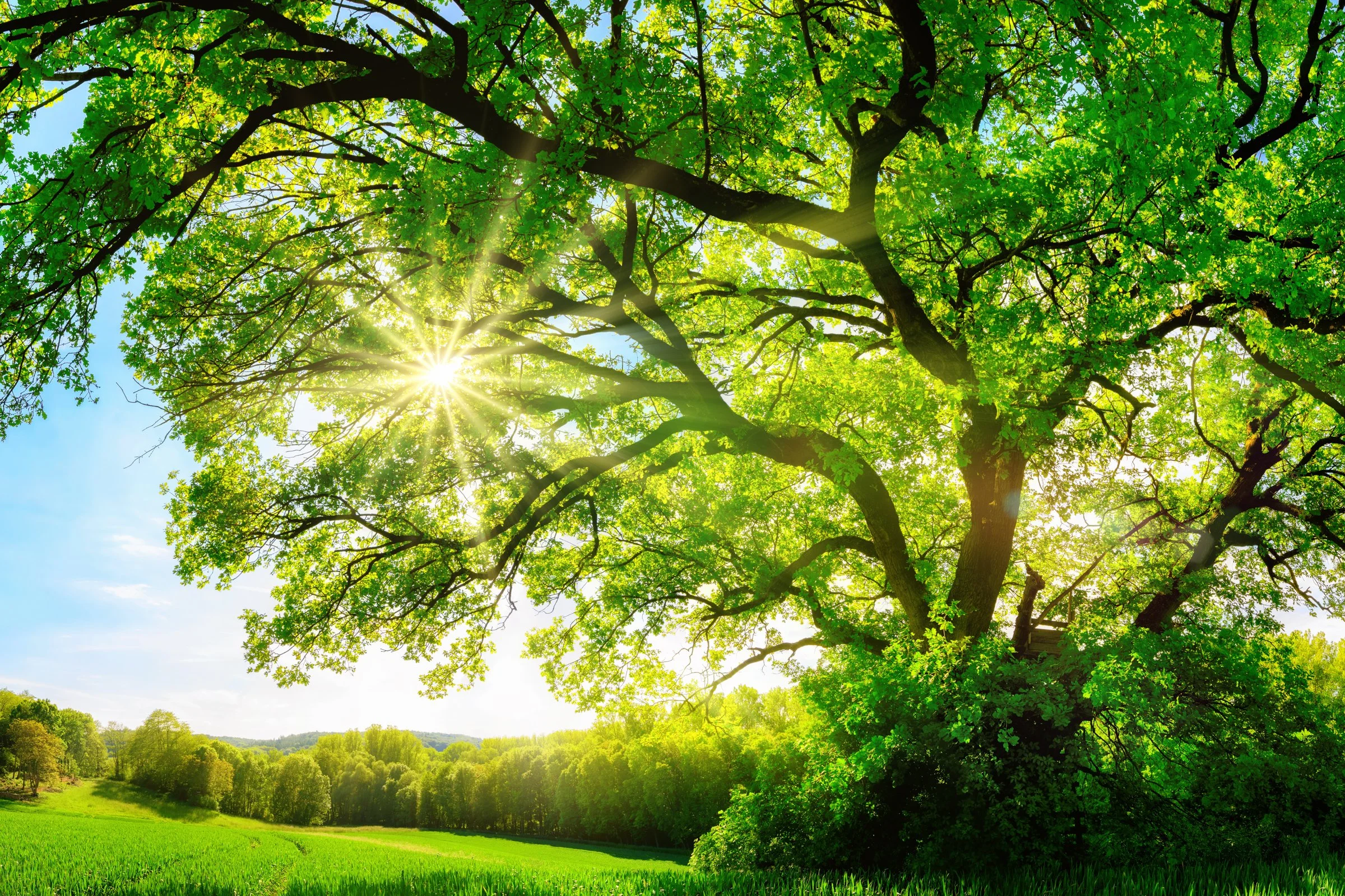 Healing of The Nations |S3:E9|