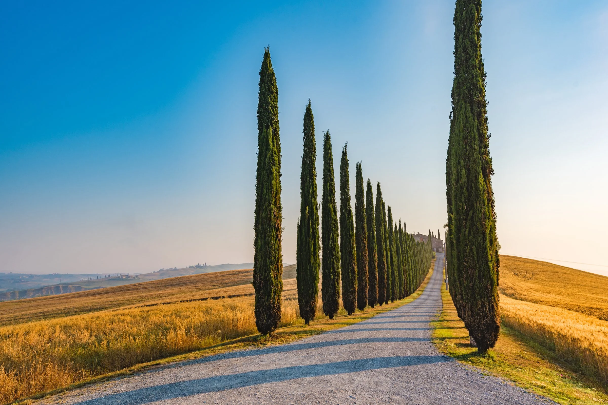 A Modern-Day Paul |S1:E23|