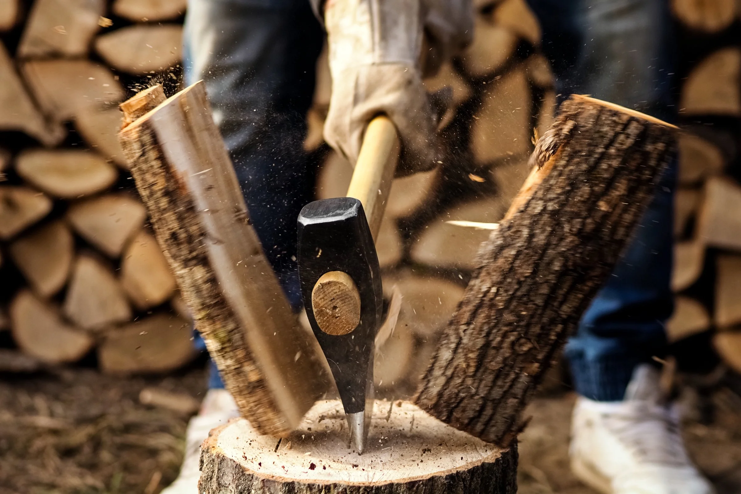 Healing the Roots of Division—Part 1 |S1:E10|