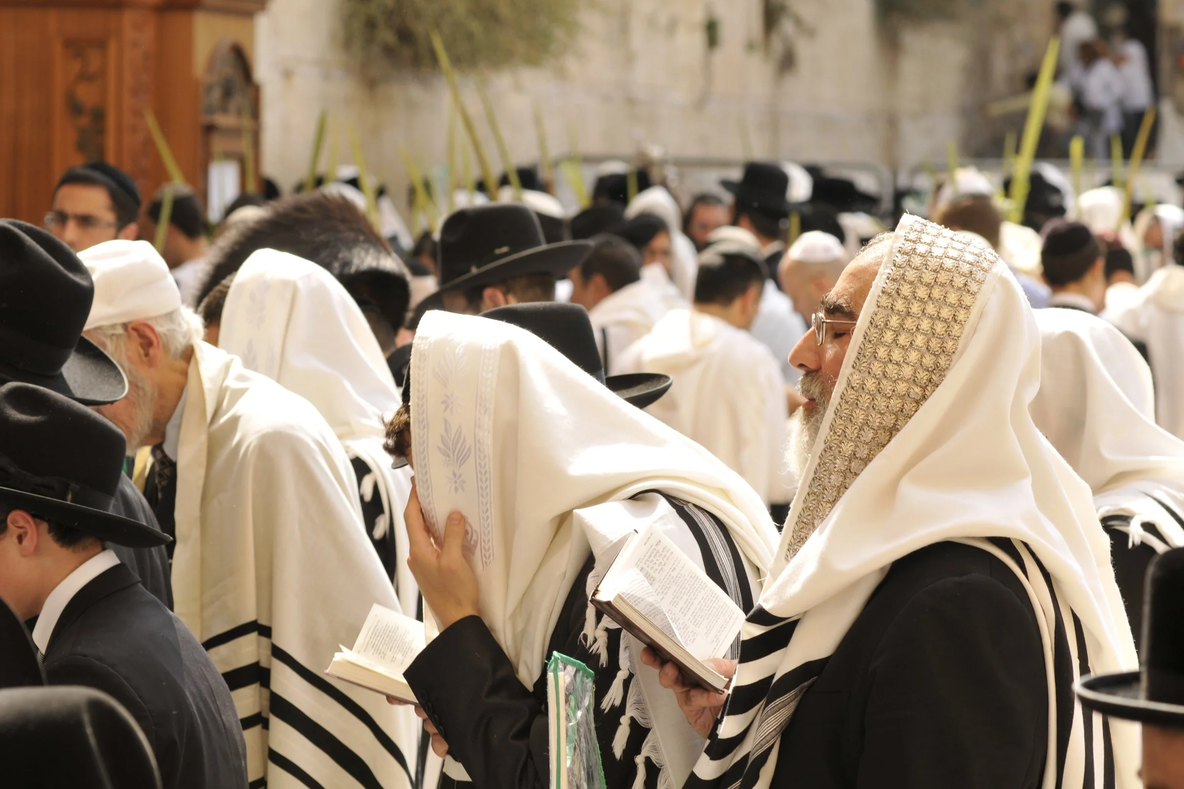 Israel's Coming Tribulation and the Fulfillment of Prophecy |S5:E9|