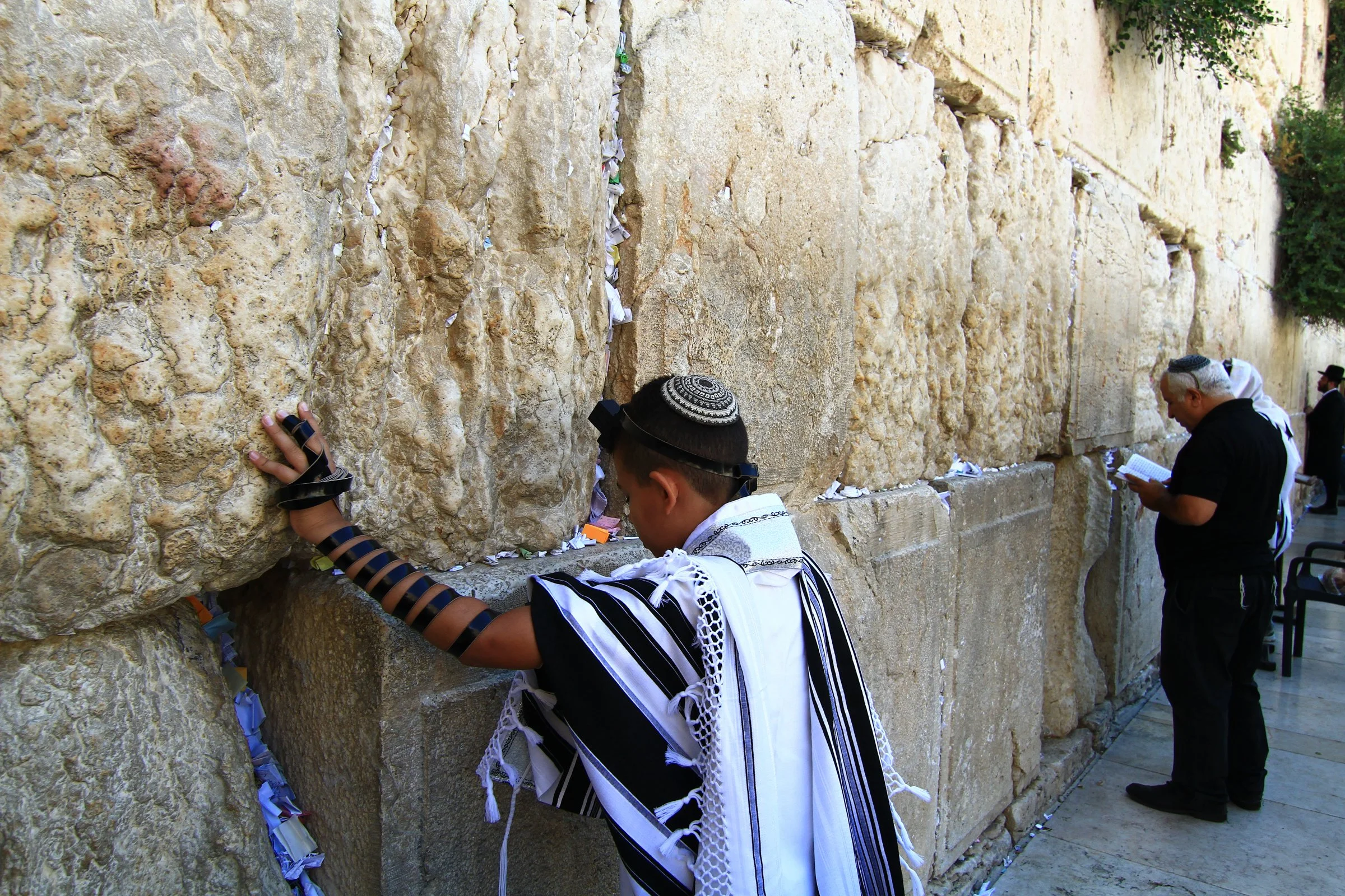 The Restoration of Israel