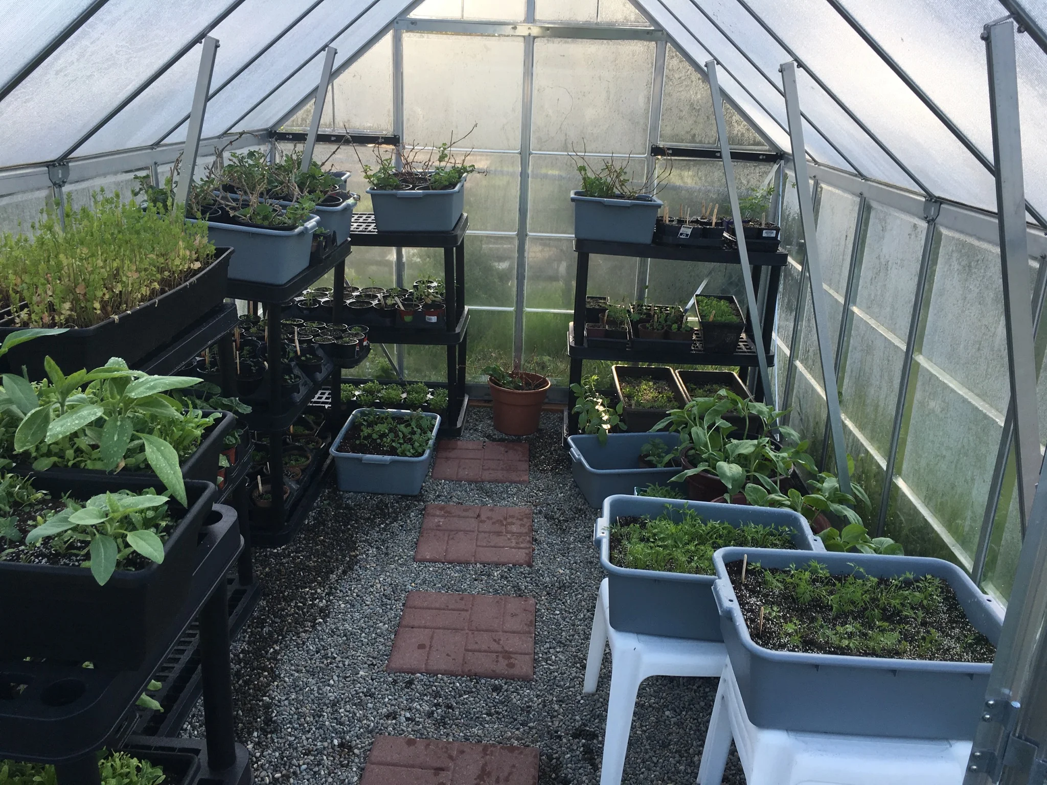 Death in the Greenhouse - John 12:24