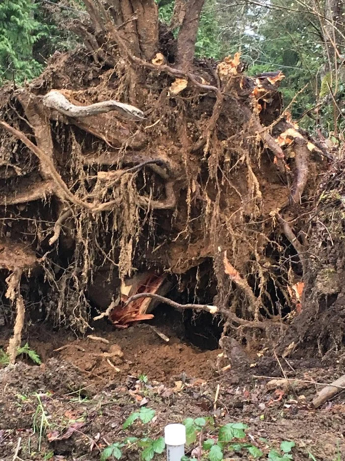 It's Not About Size!