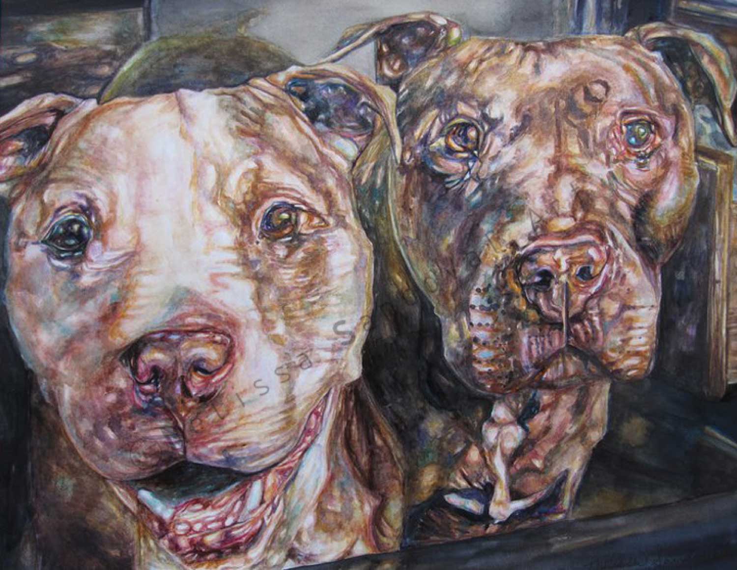 Pitbulls