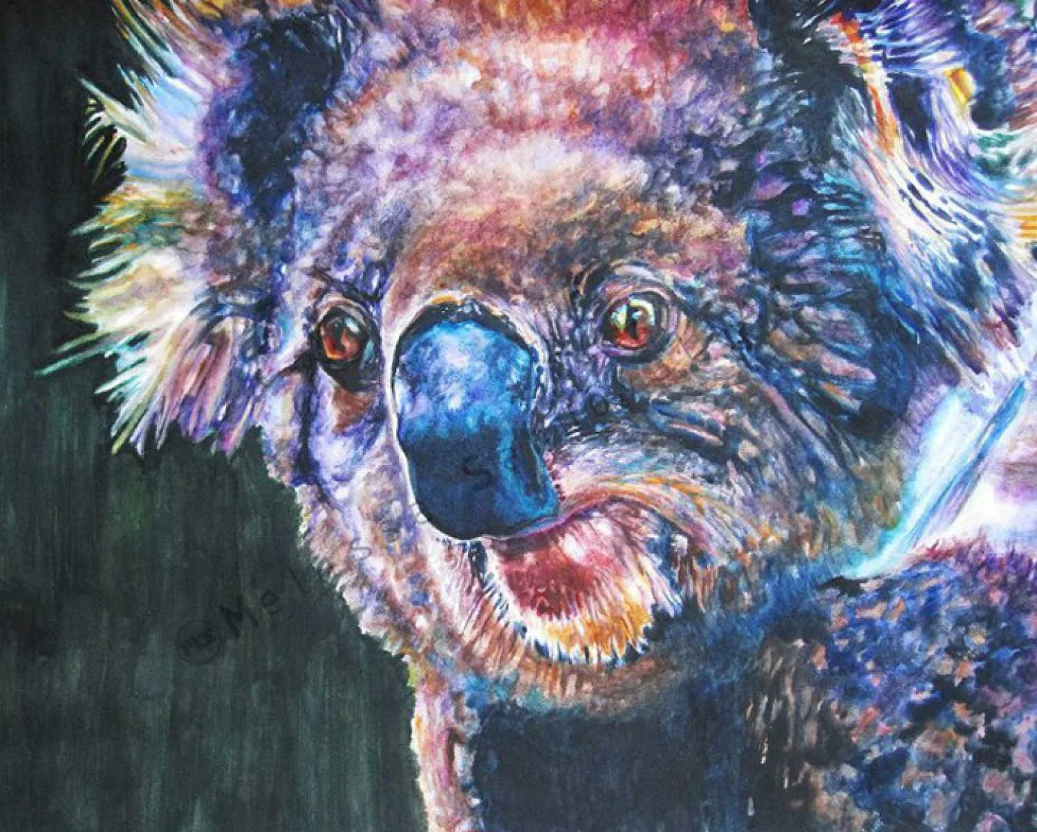 Koala Bear