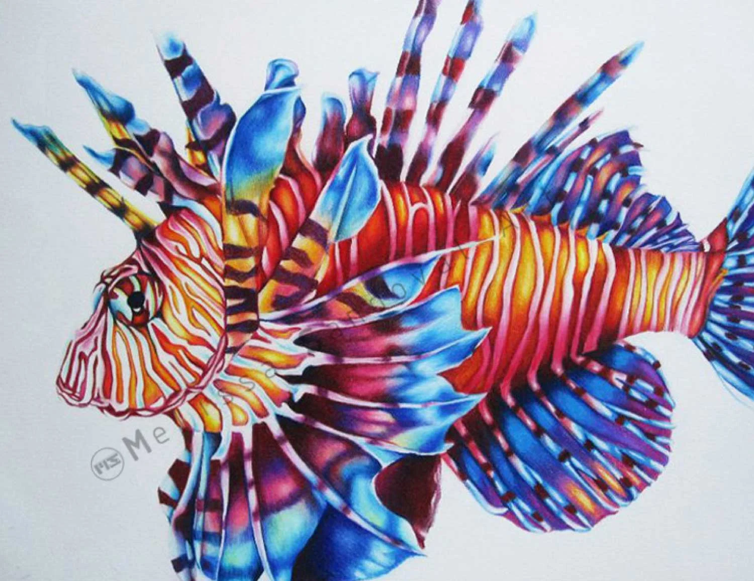 Lion Fish
