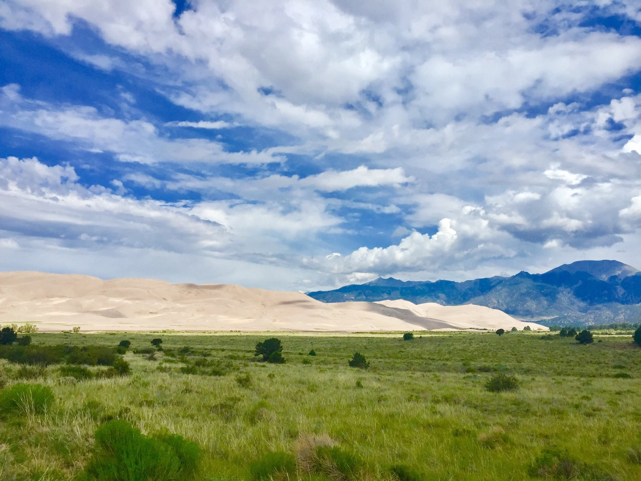 Sand Dunes.jpg