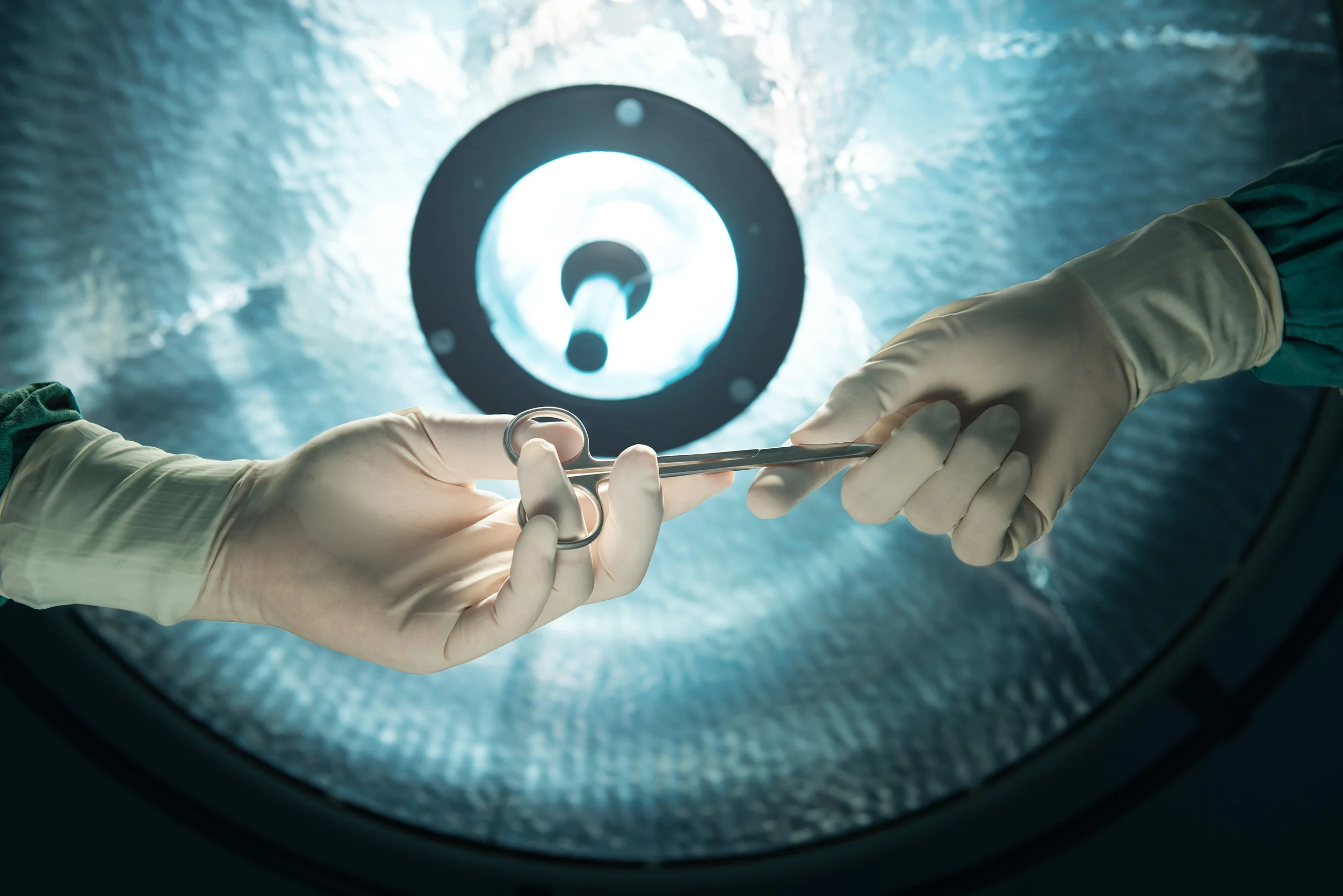 iStock-498744732.jpg