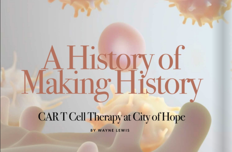 A History of Making History