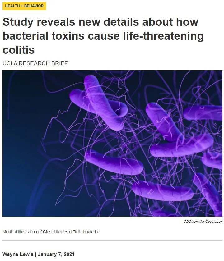 Study reveals new details about how bacterial toxins cause life-threatening colitis