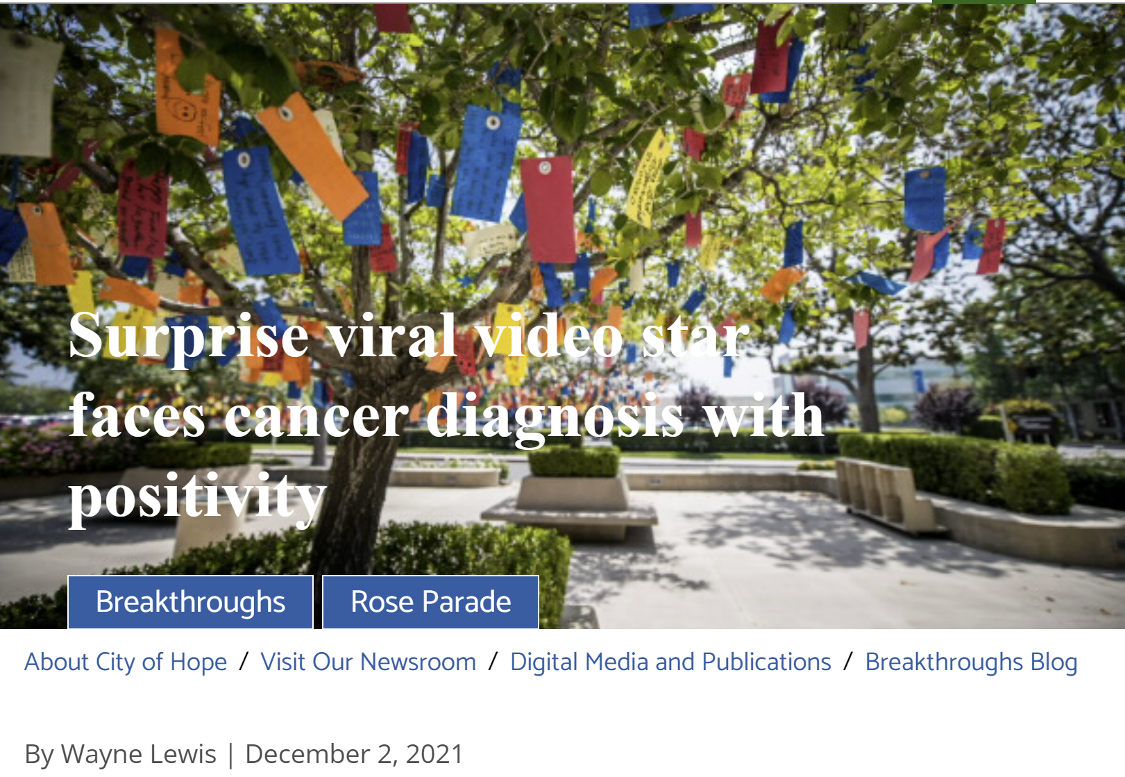 Surprise viral video star faces cancer diagnosis with positivity