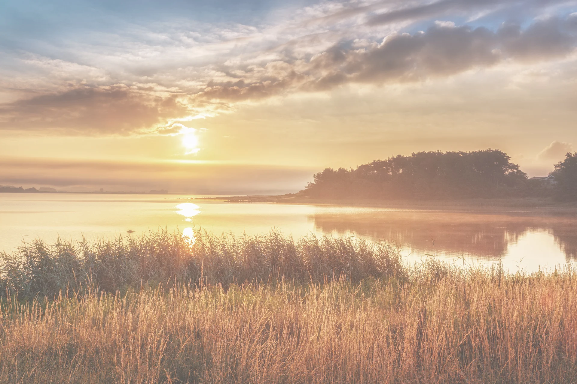 iStock-586392282.jpg