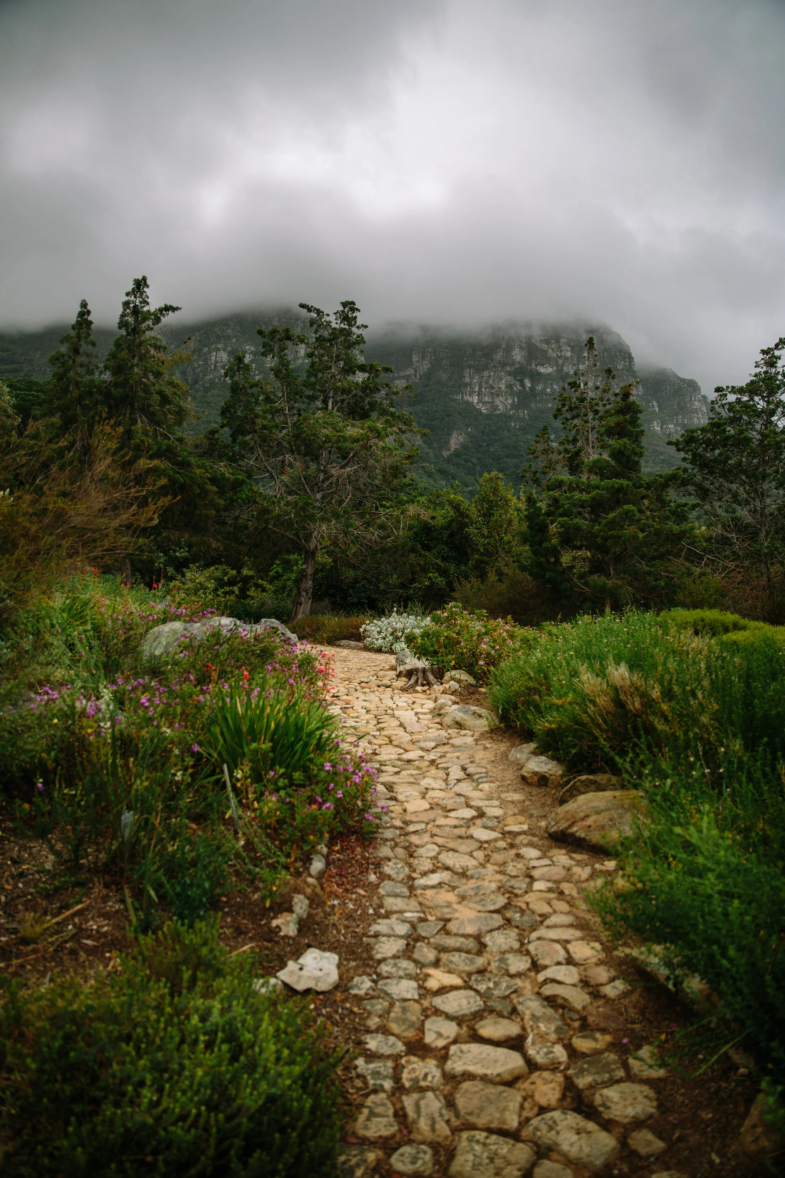 Cape Town-543.jpg