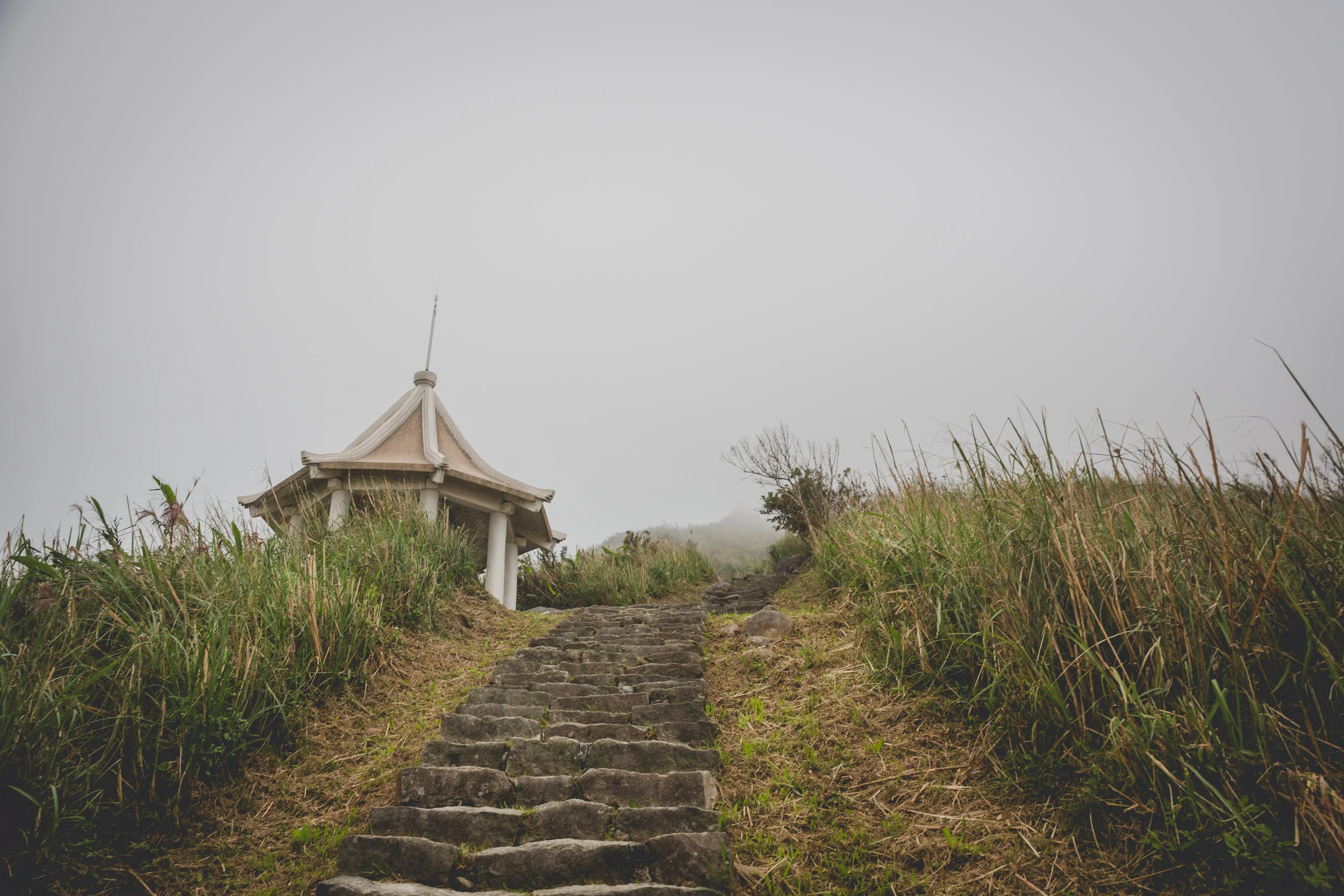 Into the Mist.jpg