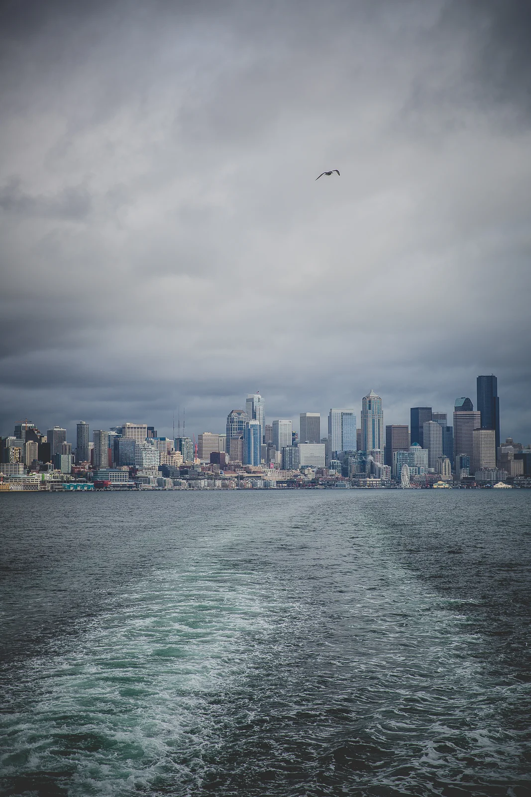 Ferry Trail.jpeg