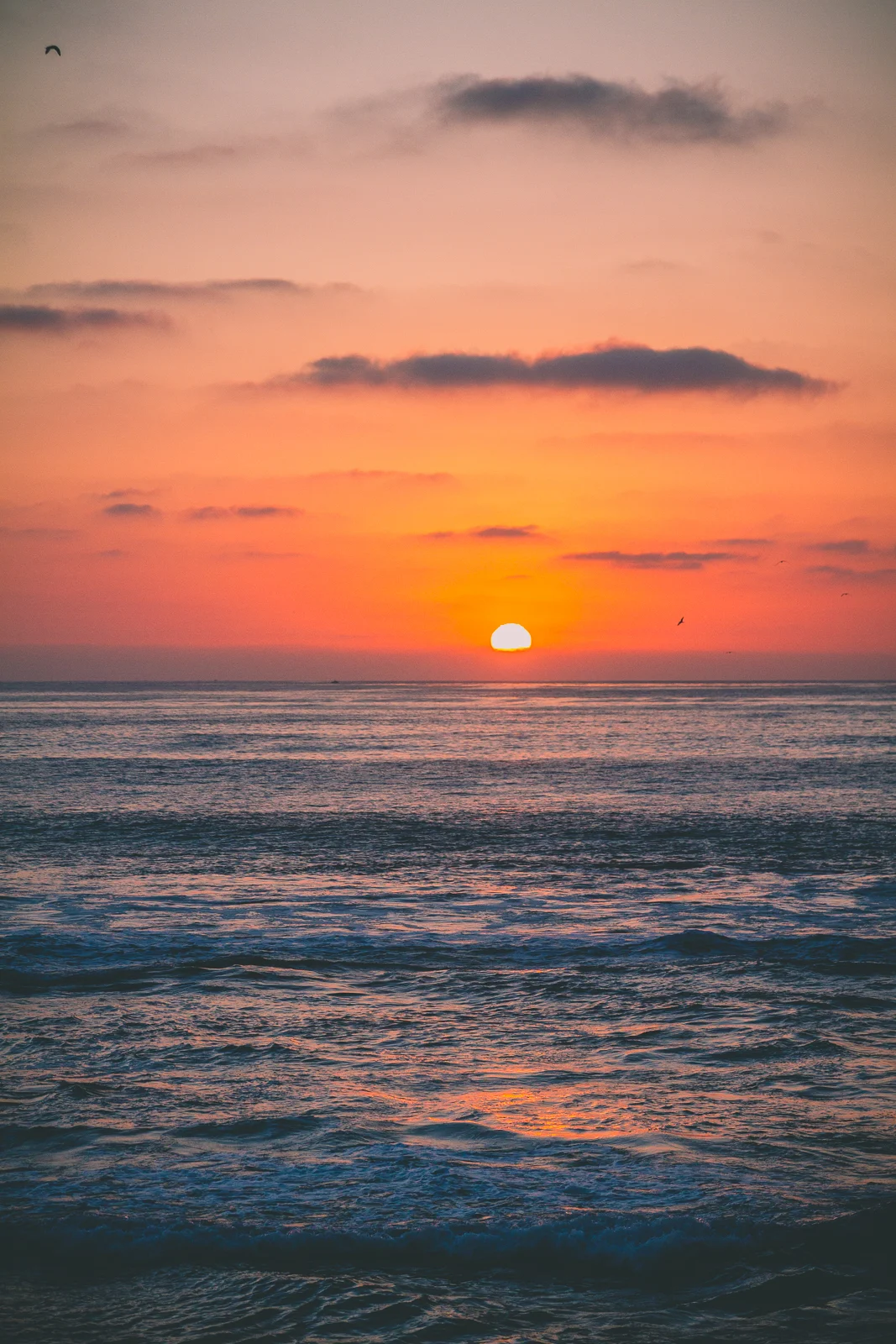 Sunset San Diego.jpeg
