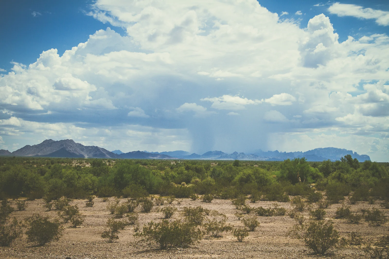 Desert Storm.jpeg