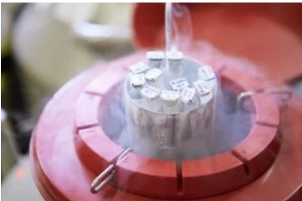 $15 Million Verdict Against IVF Cryopreservation Tank Maker Is Big News