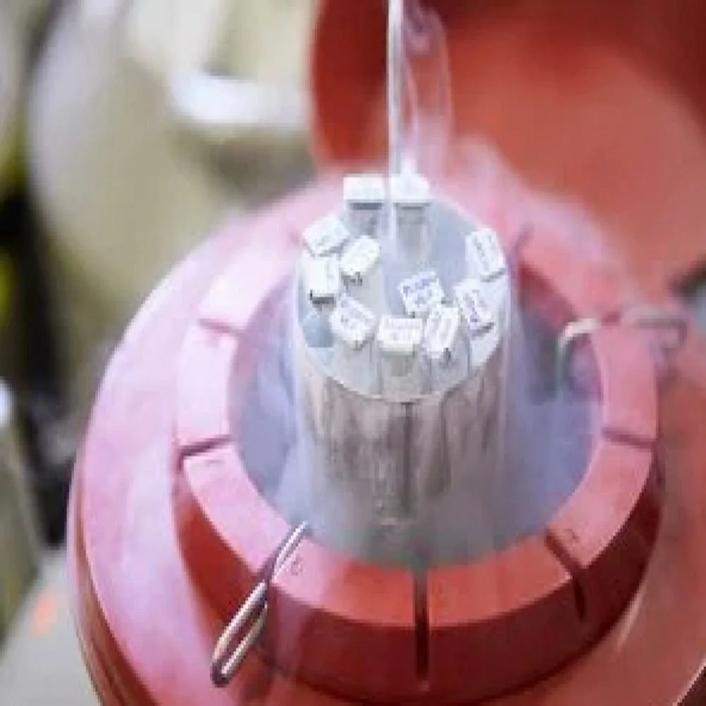 How Expensive Will Colorado Sperm Be, Come 2025?