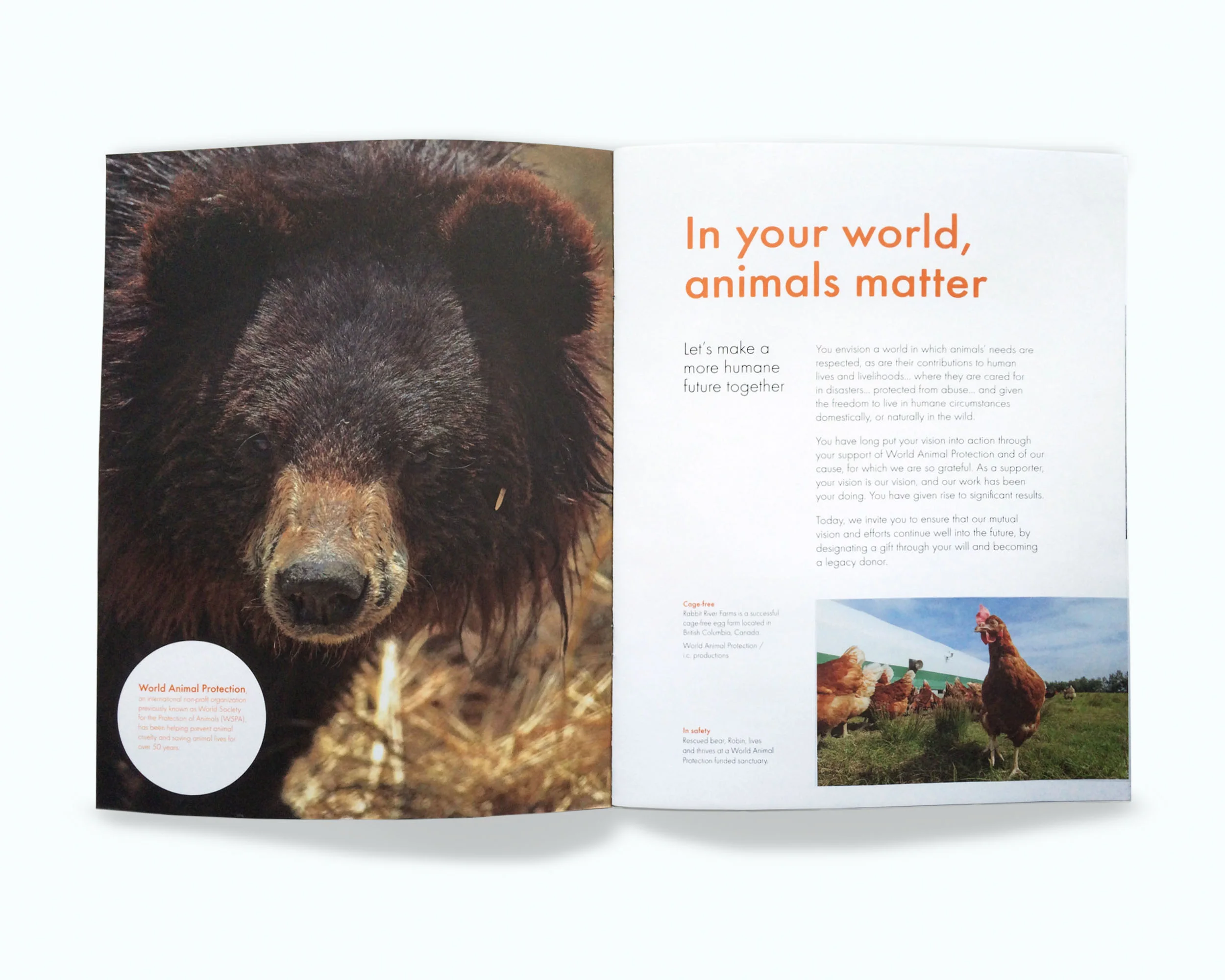 Serina-Morris-World-Animal-Protection-brochure-spread1-sqs.jpg