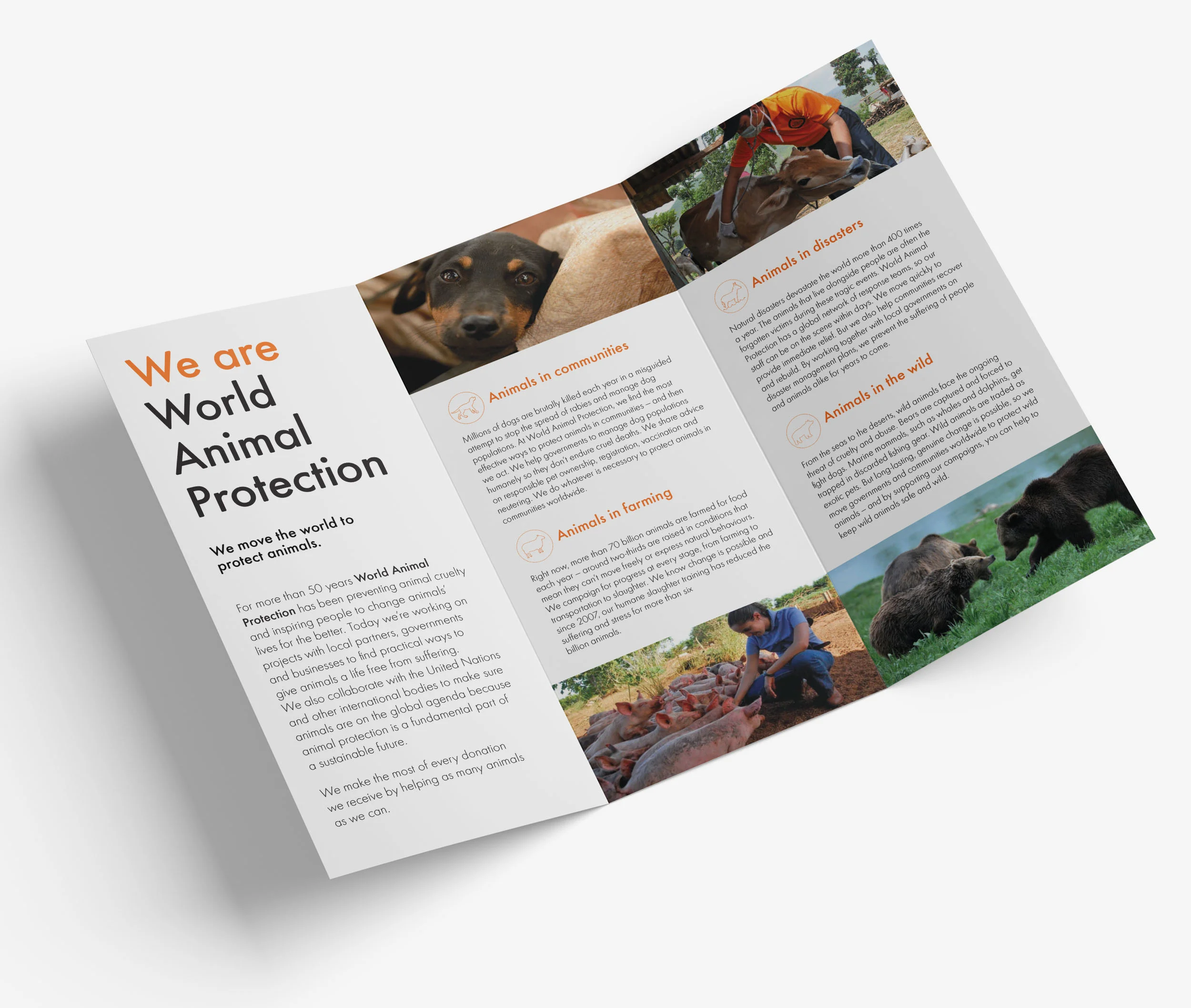 Serina-Morris-World-Animal-Protection-flyer-inside-wht-sqs.jpg