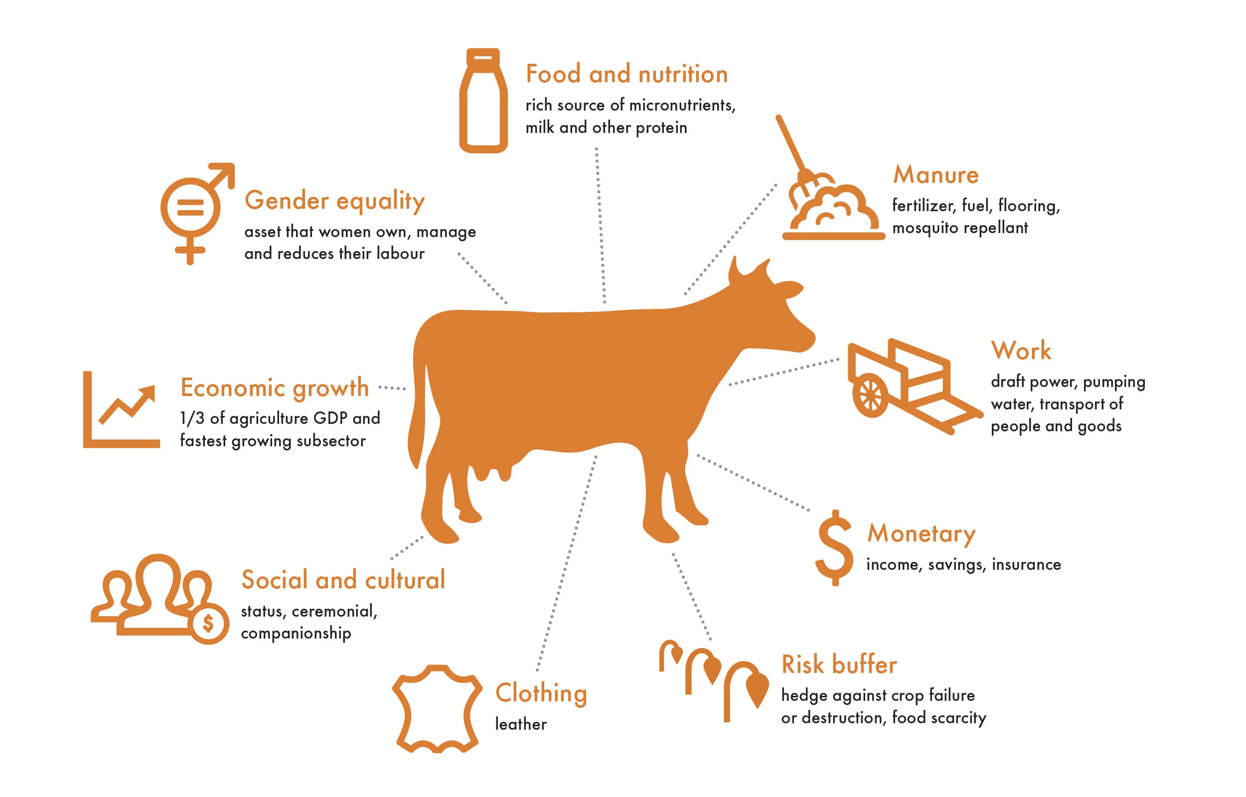 Serina-Morris-World-Animal-Protection-Infographics-Disaster-Management-sqs.jpg