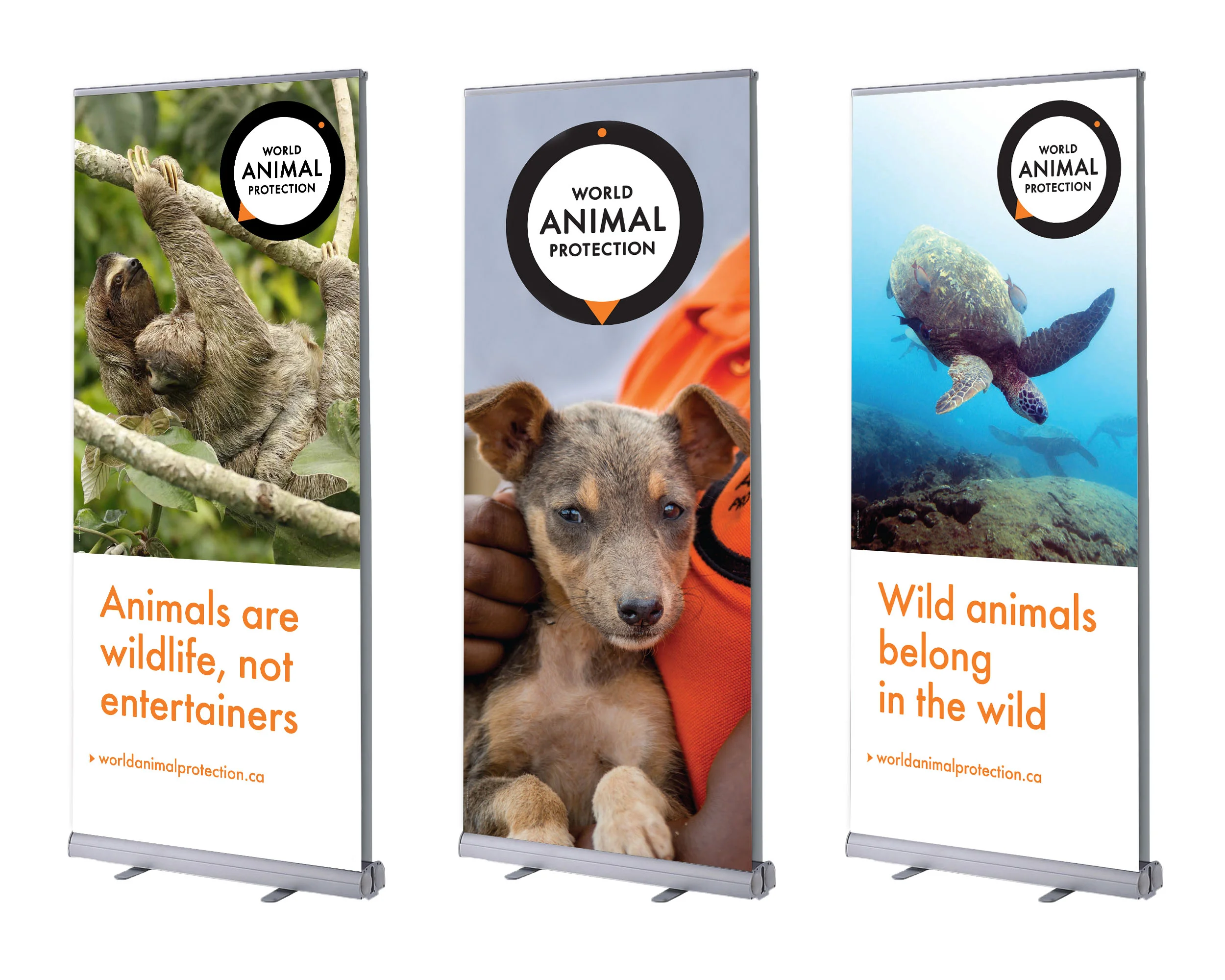 Serina-Morris-World-Animal-Protection-PopUp-Banners-sqs.jpg