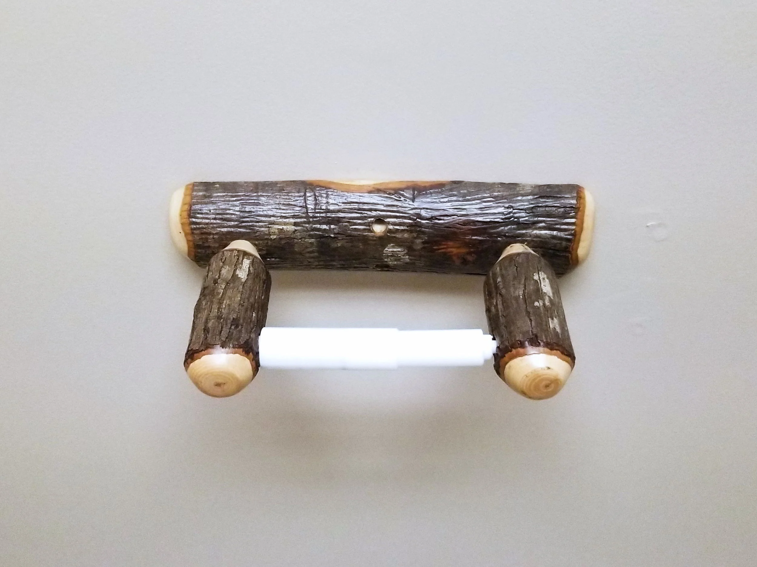 Hickory tp 2-1.jpg