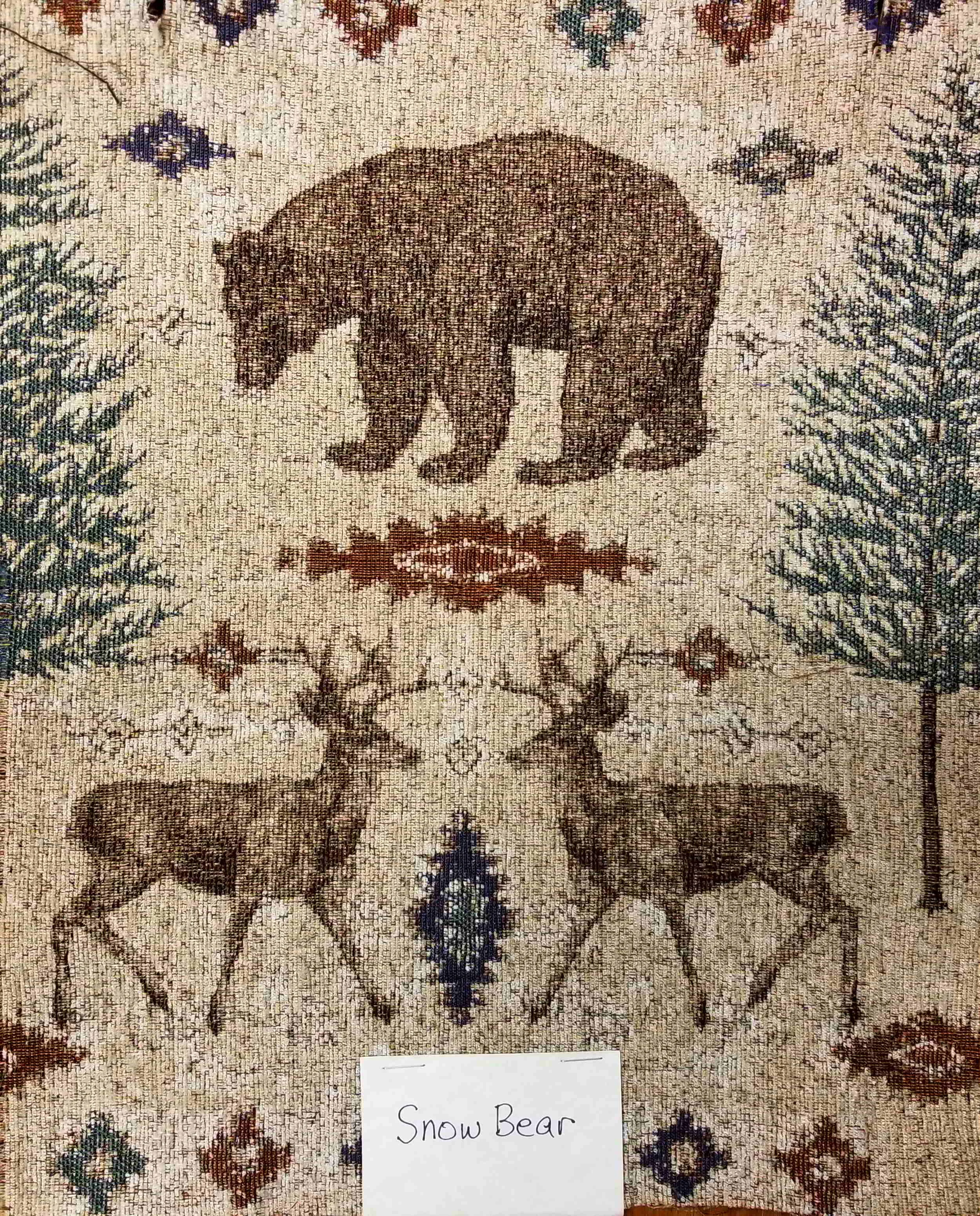 Snow Bear