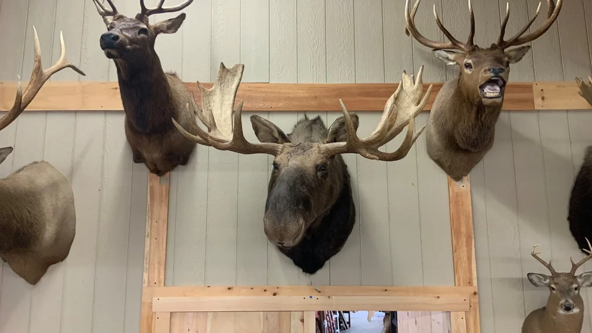 Moose Mount