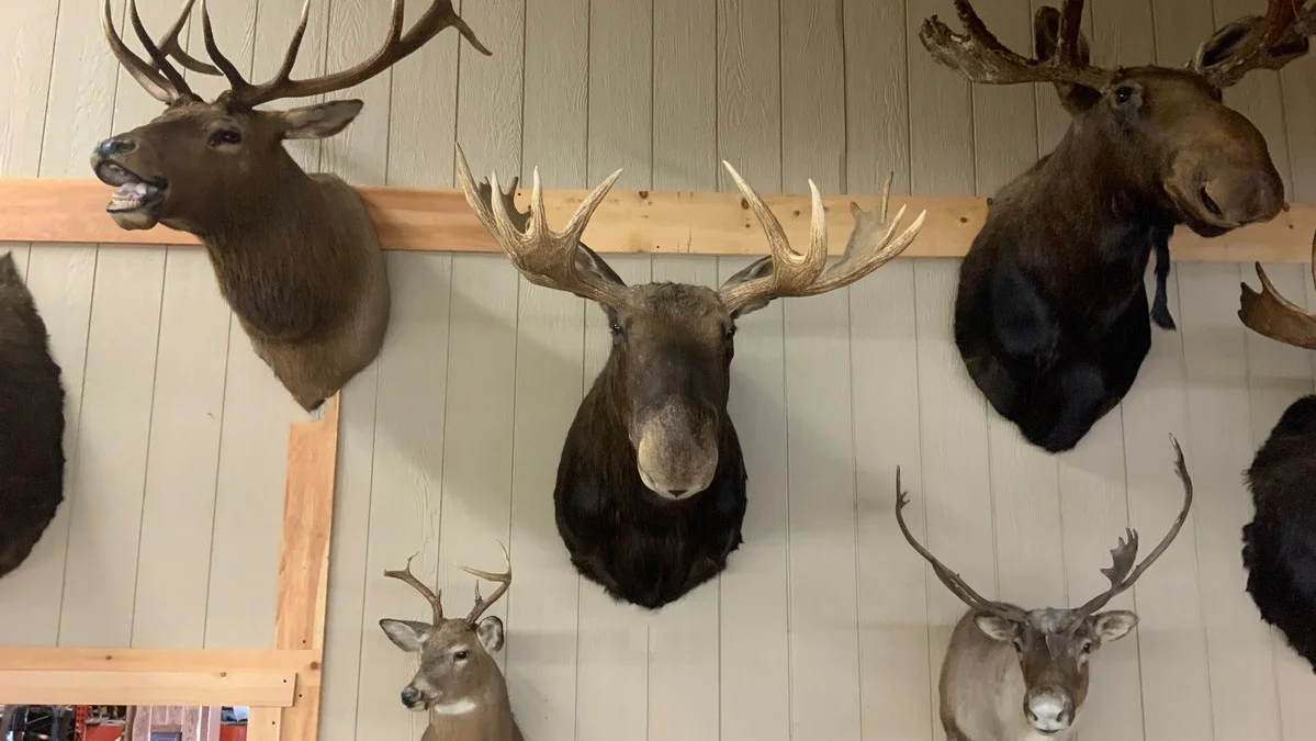 Moose Mount
