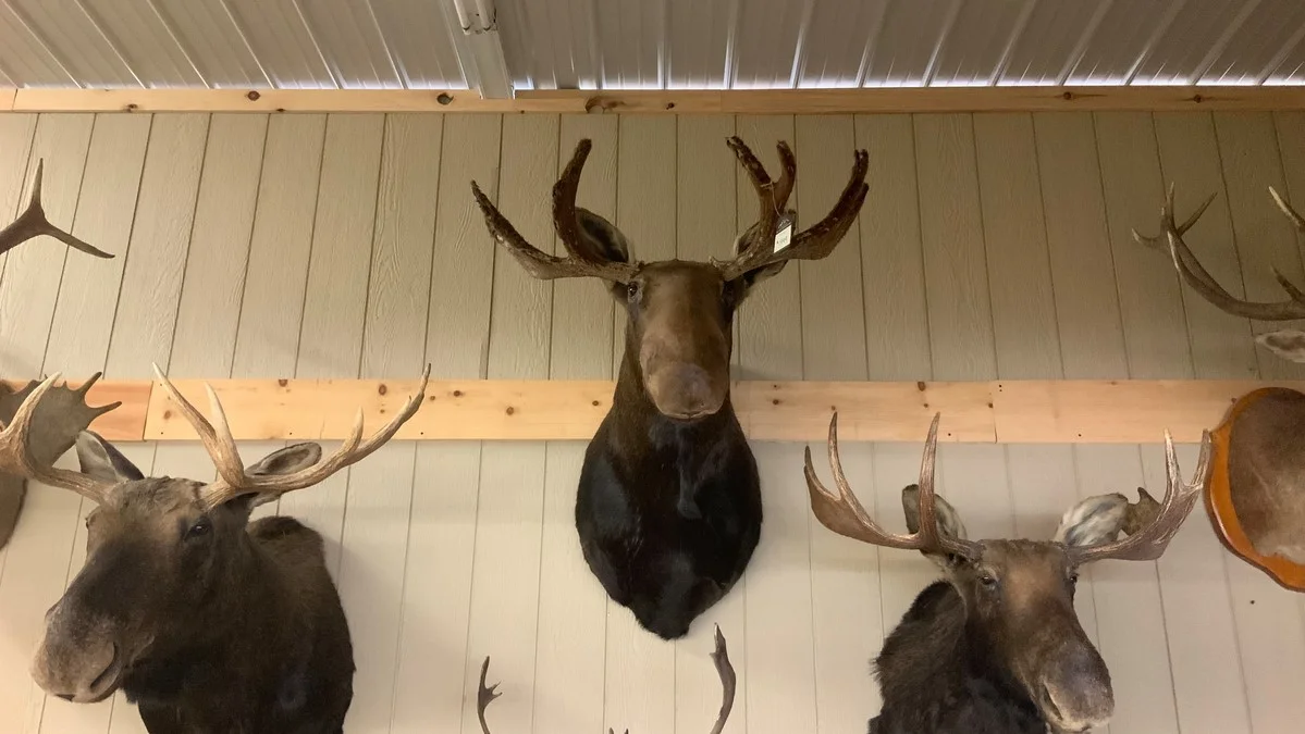 Moose Mount