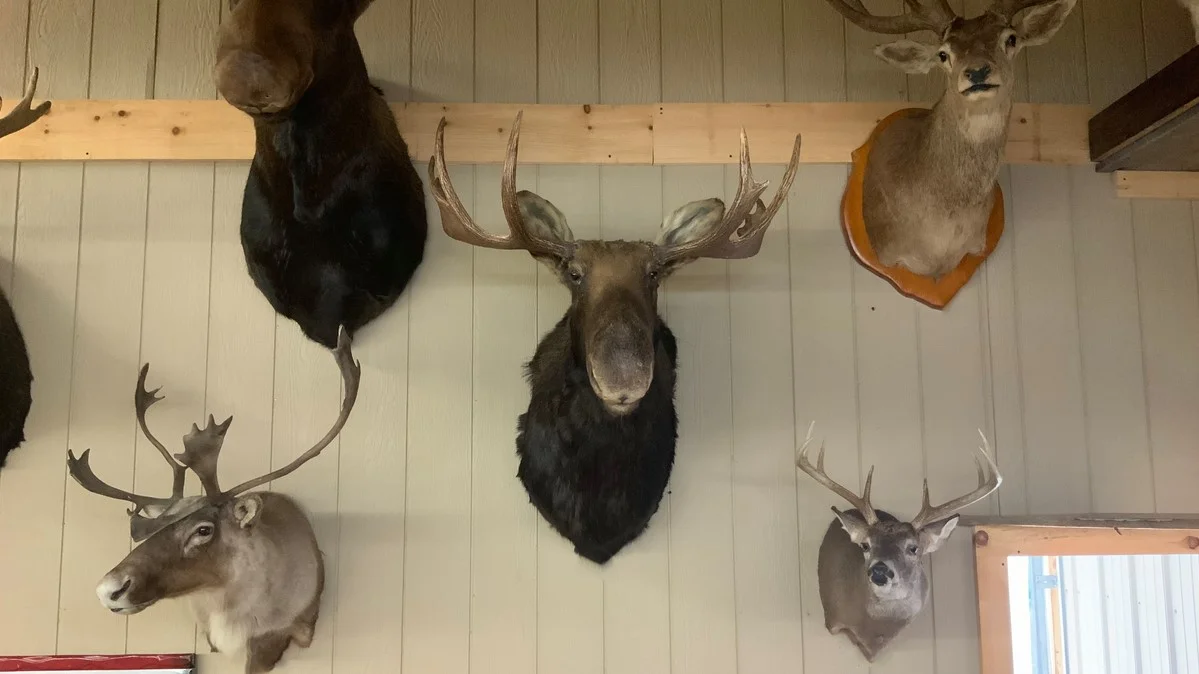 Moose Mount