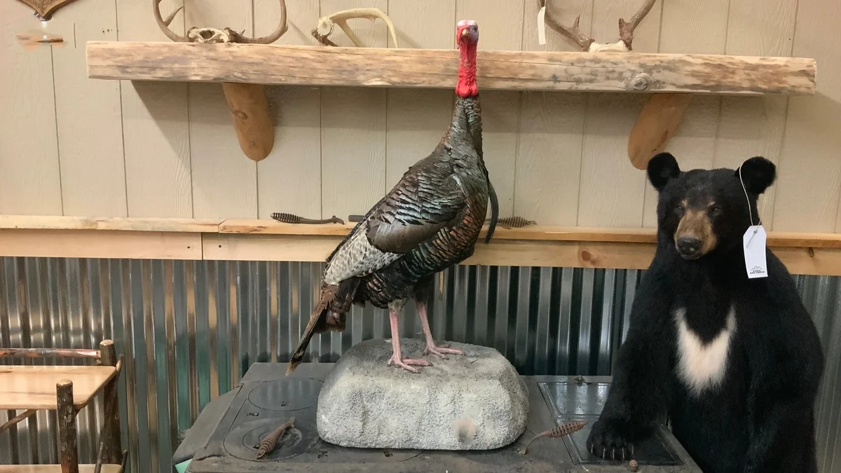 Turkey Mount
