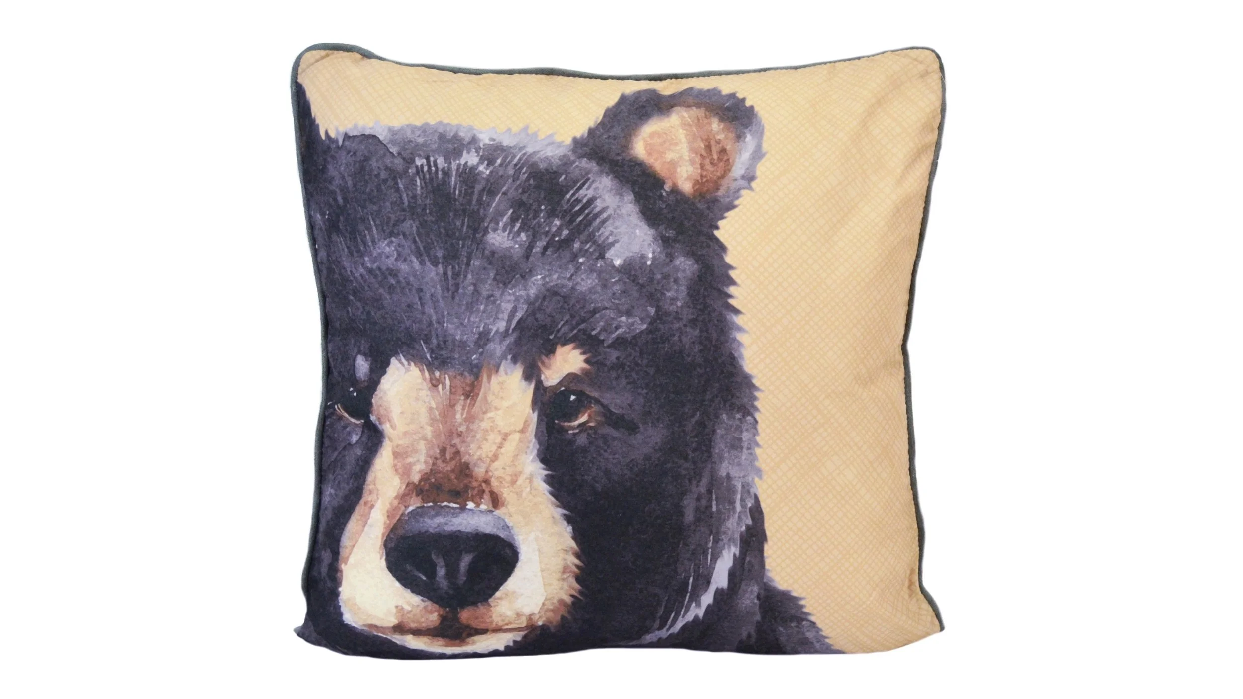 Brown Bear Cabin bear.jpg