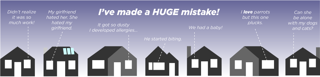 SevenHouseholds_quotes.png