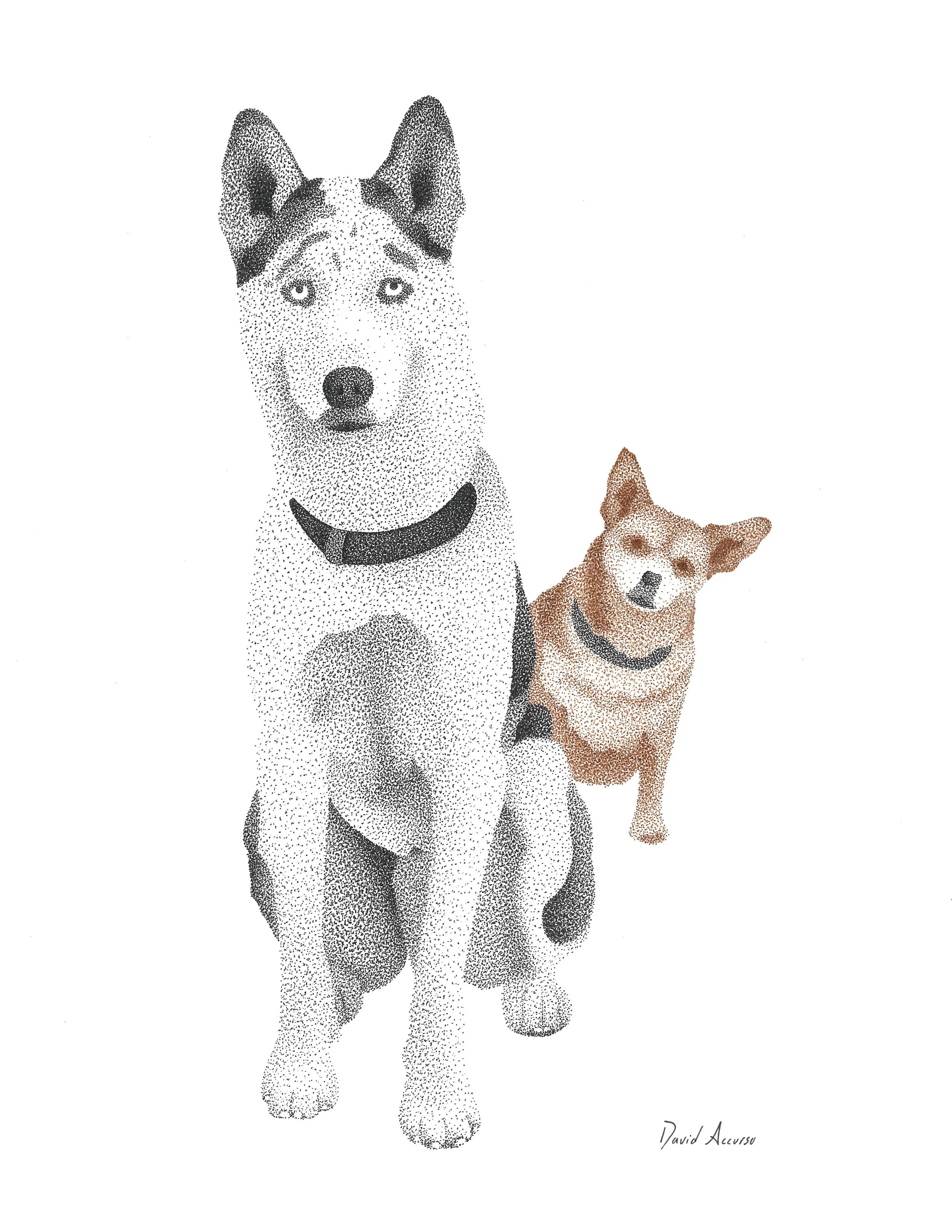 Morgenstern Dogs.jpg