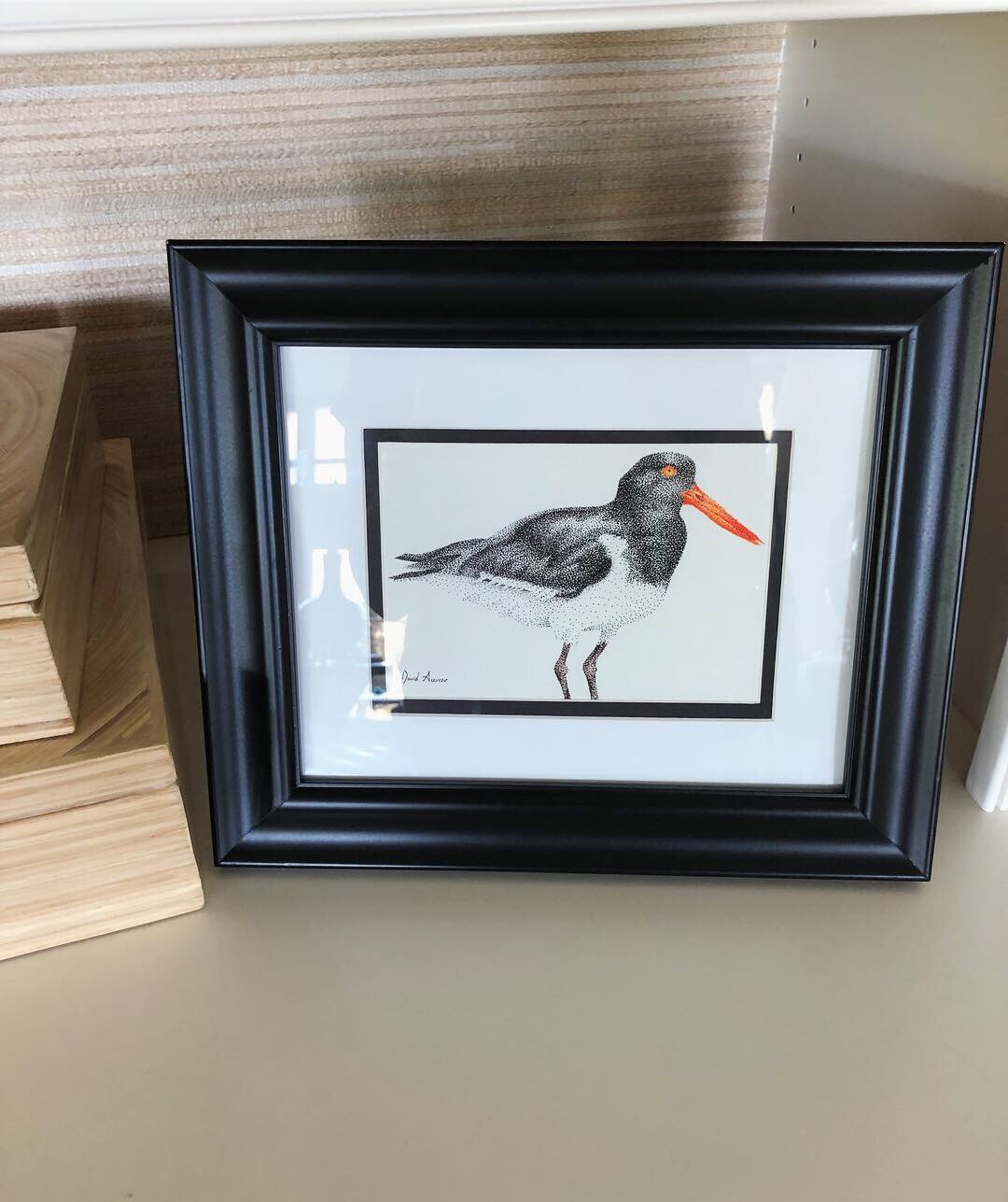 Shorebird Commission