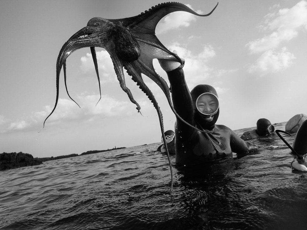 SOUTH KOREA. Jeju Island. 2014. No sooner had the group of Haenyeo I was diving with entered the water when one of them snatched an octopus from its hiding place under a rock. commissioned by the Korean Arts Council 