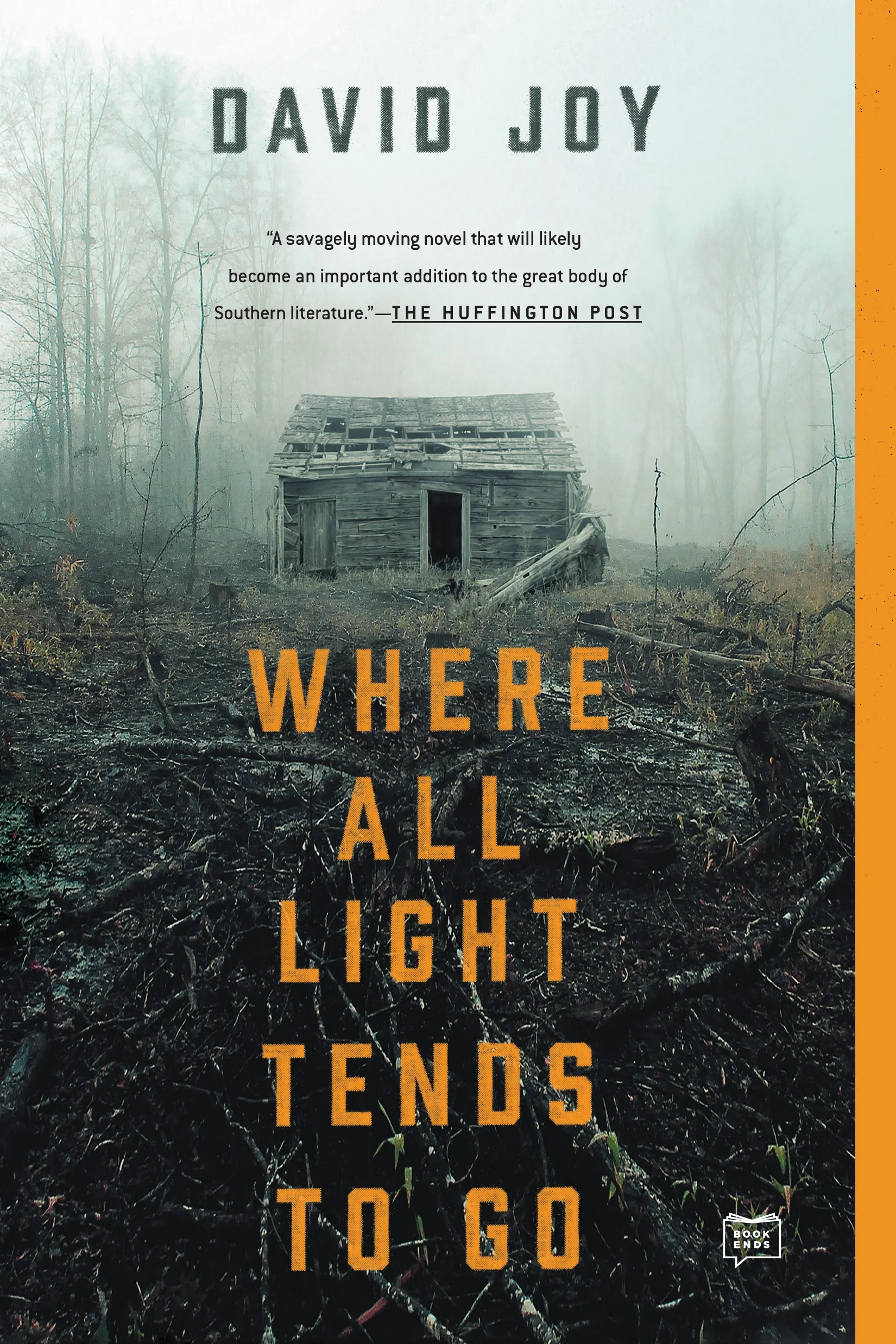 LIGHT_Paperback_JPG.jpg