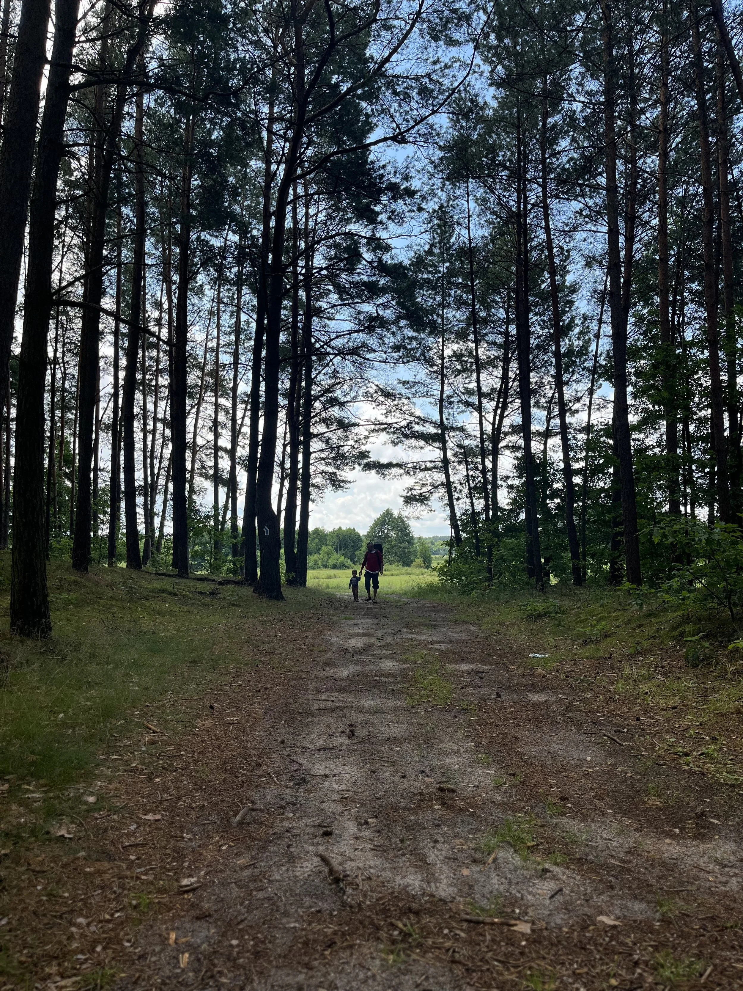 NOWOŚĆ! Życie ze Współczuciem Oparte na Uważności | Wieczorny kurs Mindfulness-Based Compassionate Living MBCL