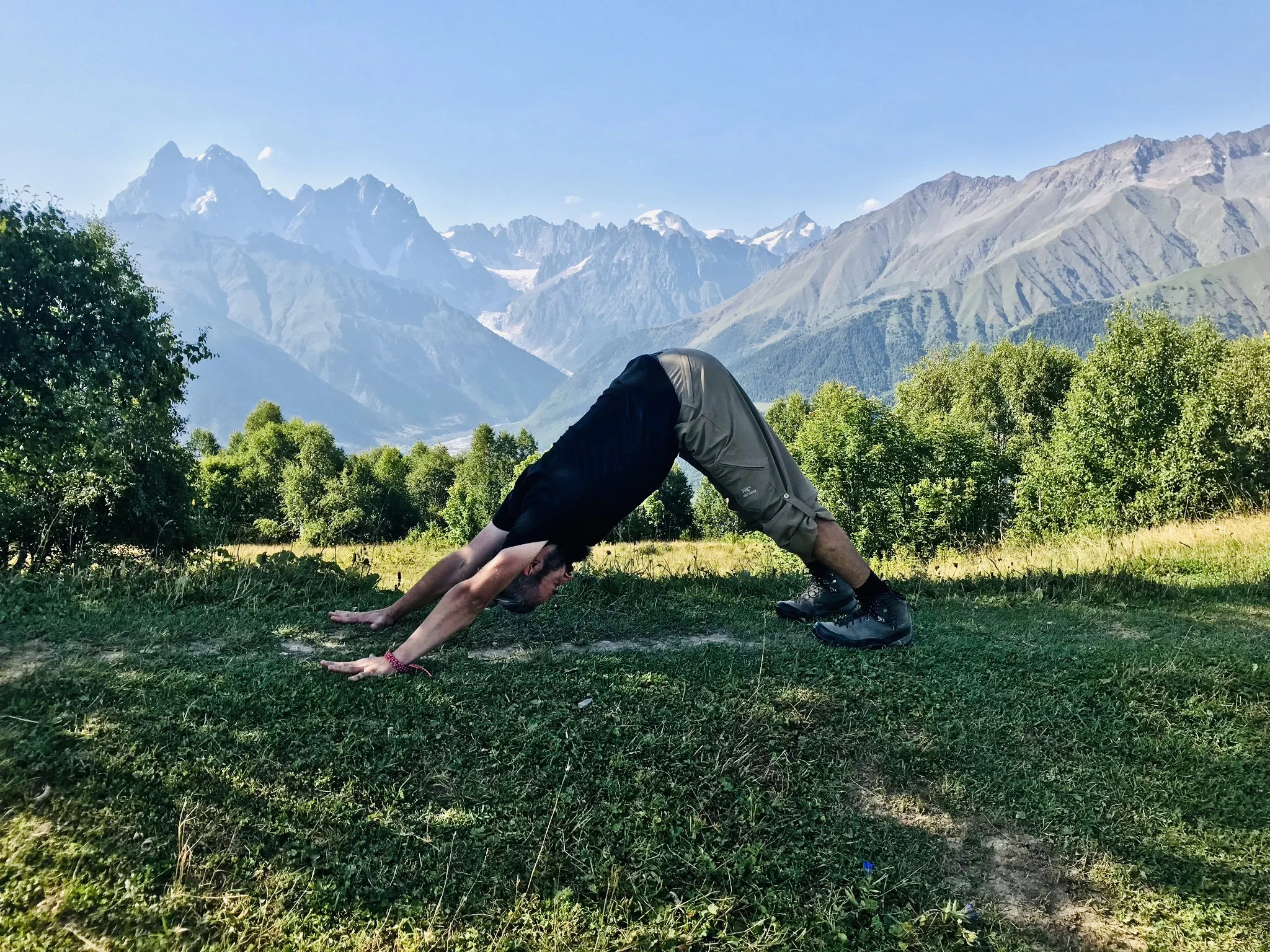 Adho Mukka Svanasana.JPEG