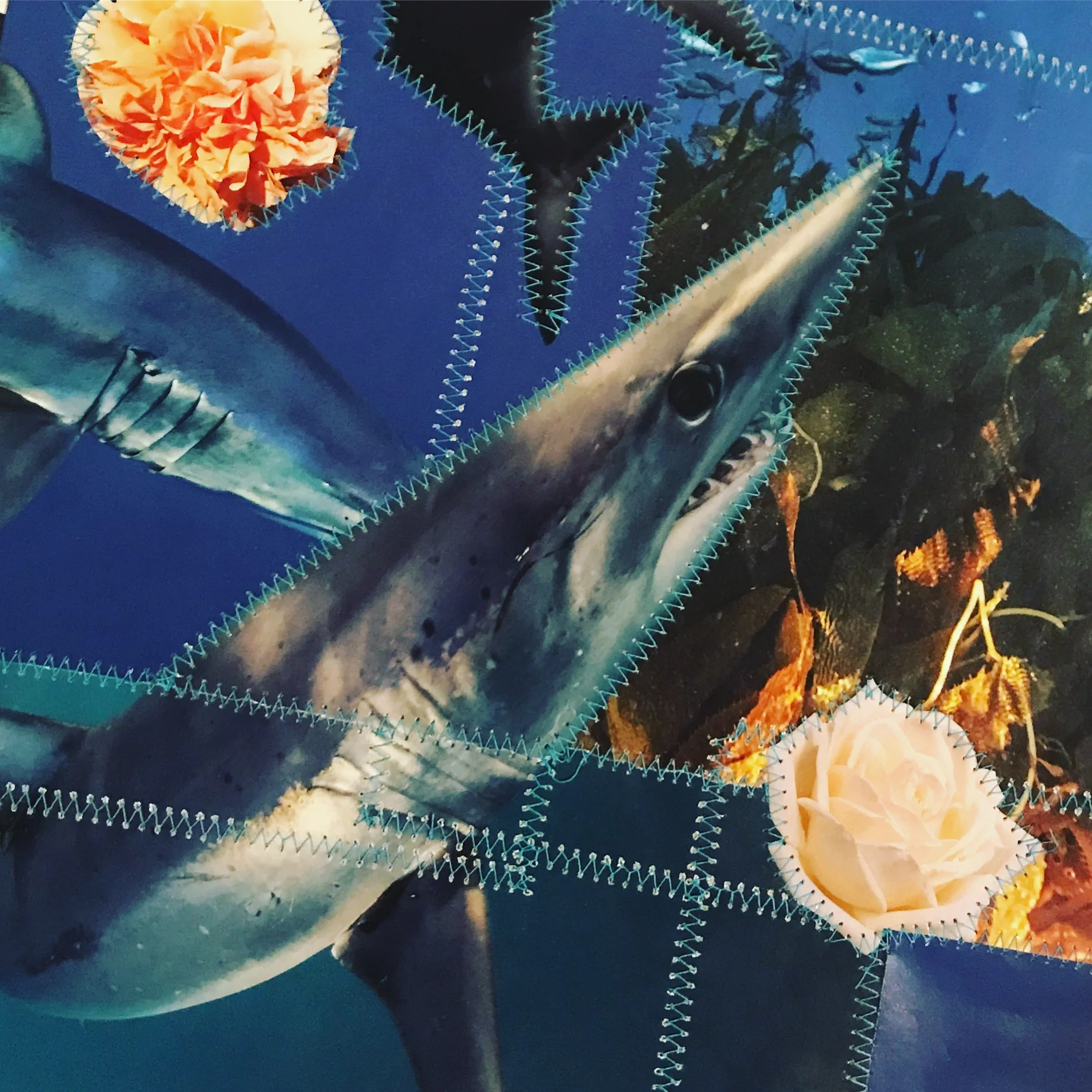 somethings in the water large detail.JPG