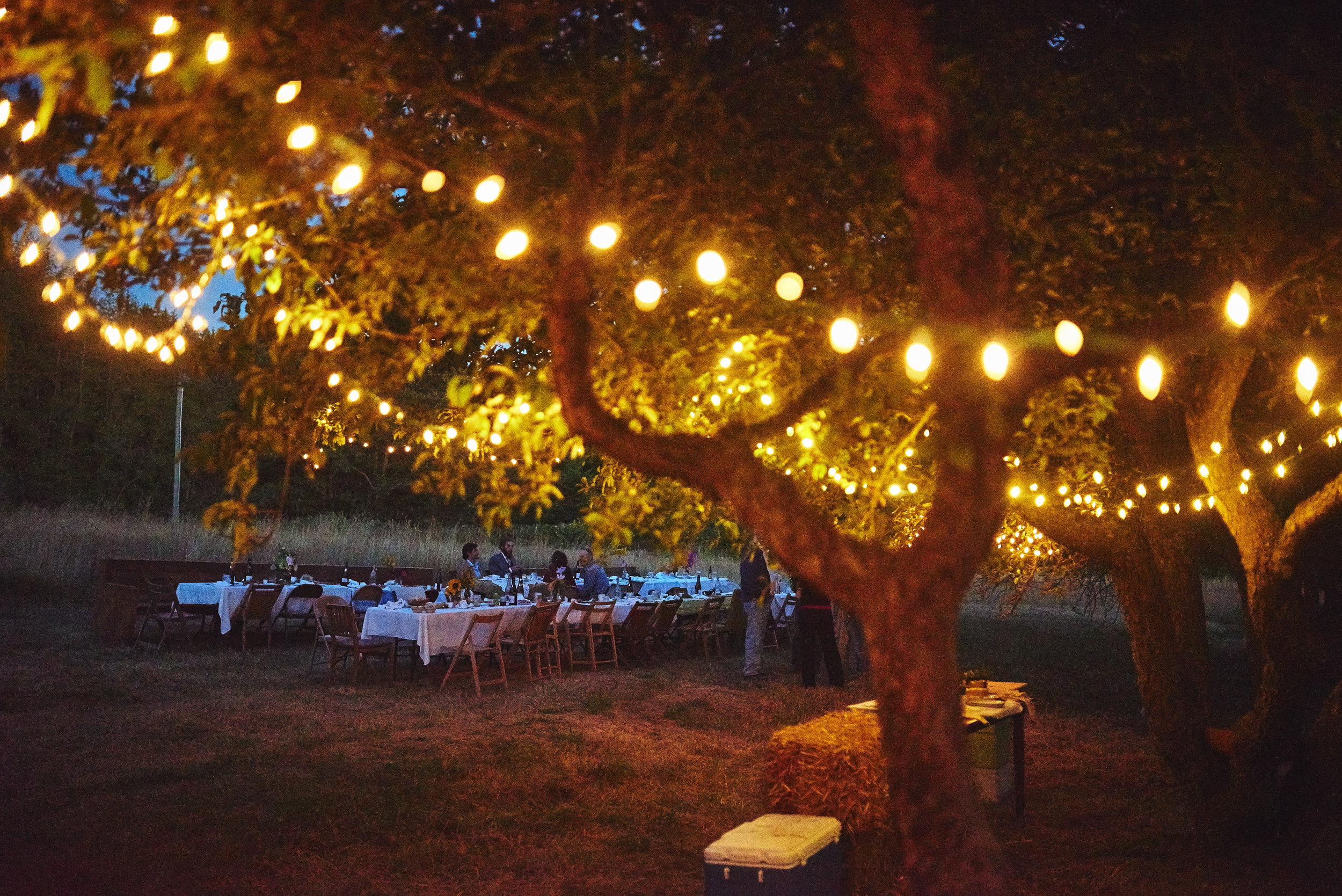 outdoor dining at plum nelli farm wedding.jpg