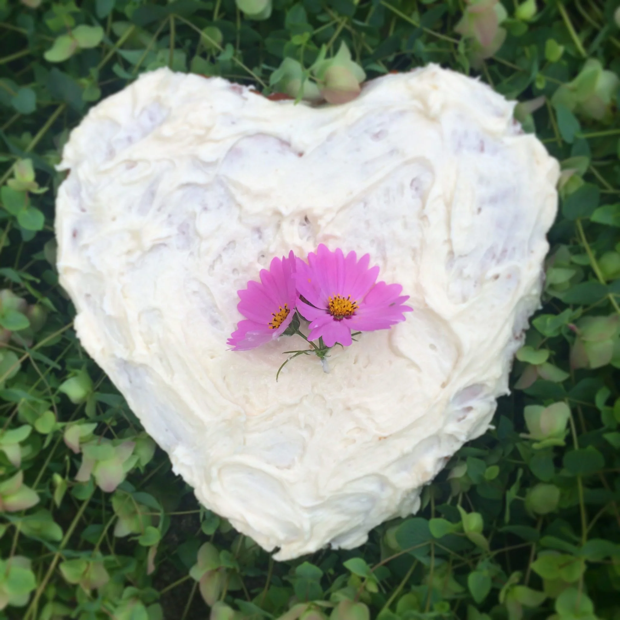 Duffey/Crook Wedding