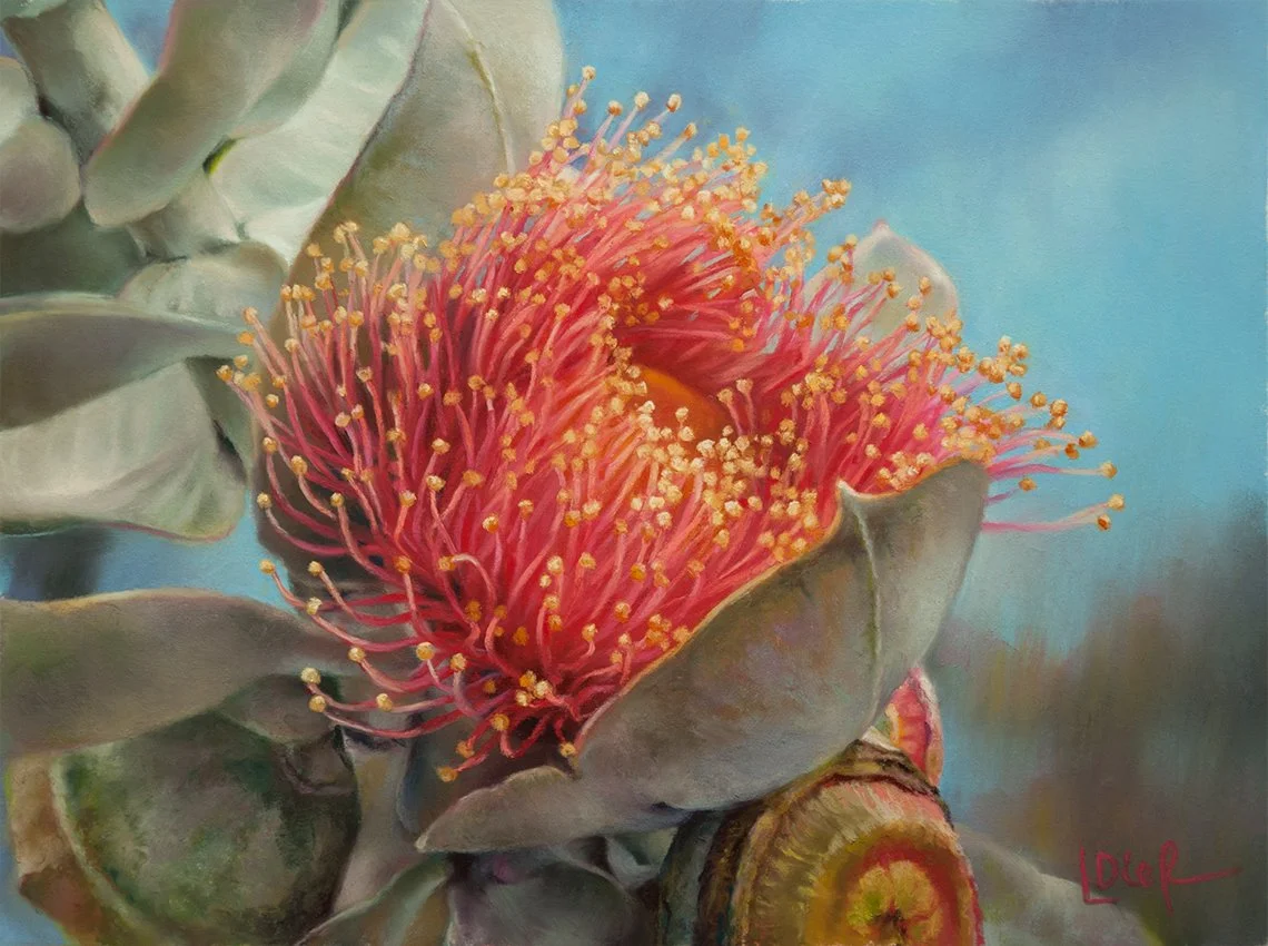 Botanical Painting by Lyn Diefenbach.