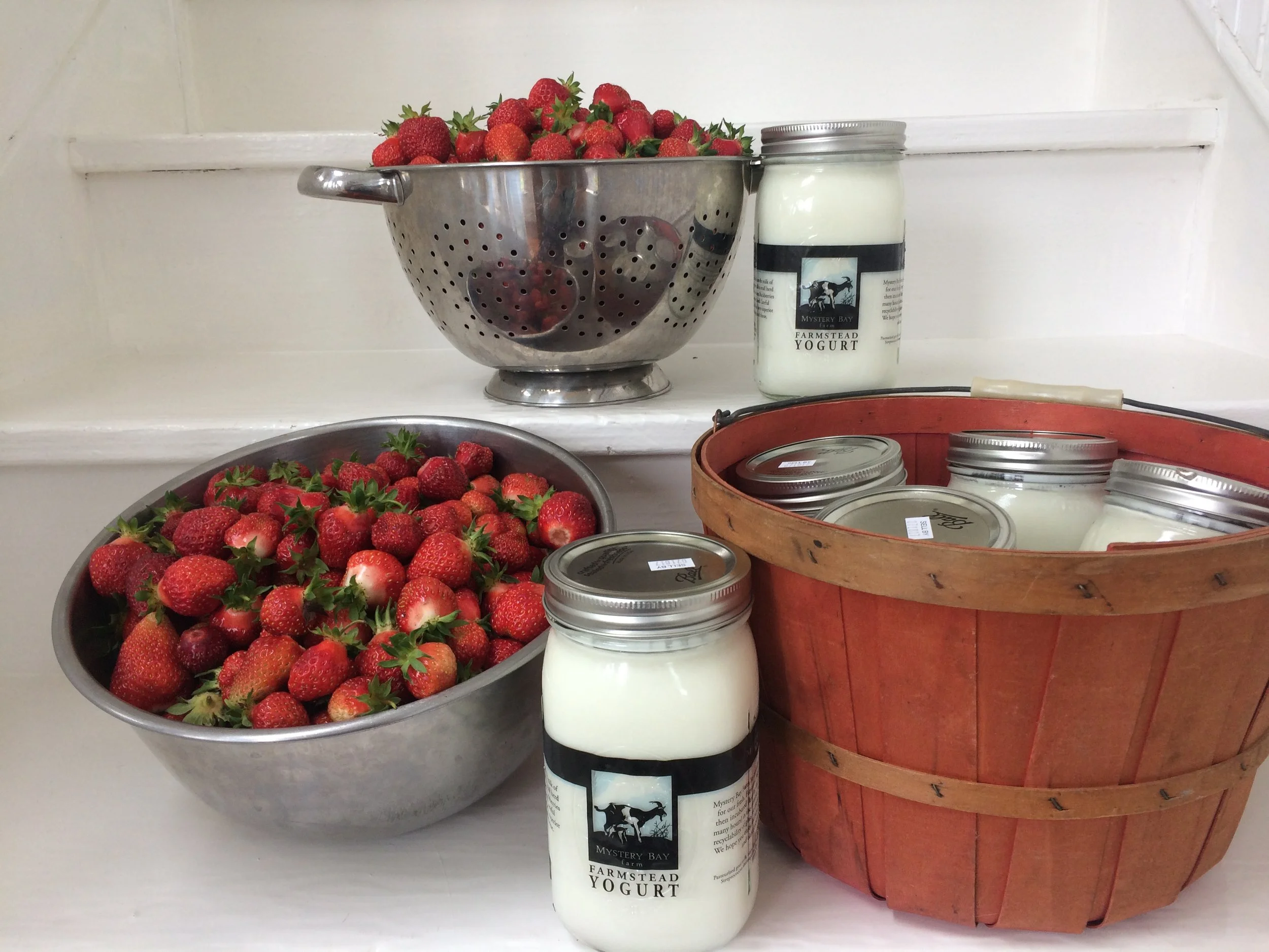 Local Flavors: a Resident’s Guide to Eating and Drinking on the OlyPen