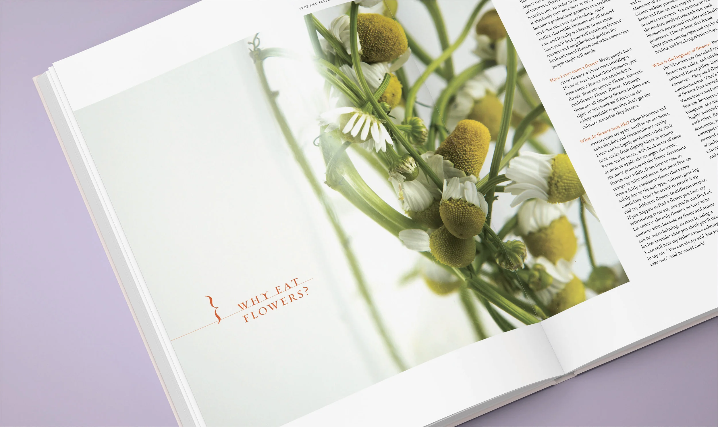 PCatangui_Book_8x10-wo-bleed-18.jpg
