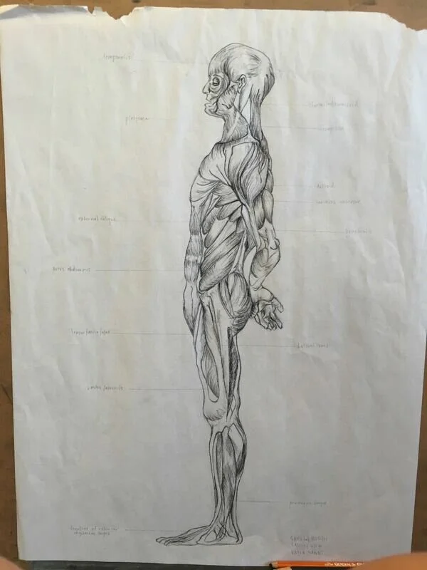 14859739-10211609431537669-6118033369042887279-o_1_orig.jpg